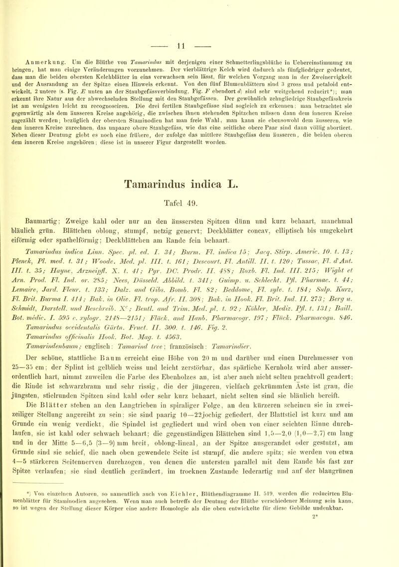 Anmerkung. Um die Blüthe von Tamarindus mit derjenigen einer Schmetterlingsbltithe in Uebereinstimmung zu bringen, hat man einige Veränderungen vorzunehmen. Der vierblättrige Kelch wird dadurch als fünfgliedriger gedeutet, dass man die beiden obersten Kelchblätter in eins verwachsen sein lässt, für welchen Vorgang man in der Zweinervigkeit und der Ausrandung an der Spitze einen Hinweis erkennt. Von den fünf Blumenblättern sind 3 gross und petaloid ent- wickelt, 2 untere (s. Fig. E unten an der Staubgefässverbindung, Fig. F ebendort d) sind sehr weitgehend reducirt*); man erkennt ihre Natur aus der abwechselnden Stellung mit den Staubgefässen. Der gewöhnlich zehngliedrige Staubgefässkreis ist am wenigsten leicht zu recognosciren. Die drei fertilen Staubgefässe sind sogleich zu erkennen: man betrachtet sie gegenwärtig als dem äusseren Kreise angehörig, die zwischen ihnen stehenden Spitzchen müssen dann dem inneren Kreise zugezählt werden; bezüglich der obersten Staminodien hat man freie Wahl, man kann sie ebensowohl dem äusseren, wie dem inneren Kreise zurechnen, das unpaare obere Staubgefäss, wie das eine seitliche obere Paar sind dann völlig abortiert. Neben dieser Deutung giebt es noch eine frühere, der zufolge das mittlere Staubgefäss dem äusseren, die beiden oberen dem inneren Kreise angehören; diese ist in unserer Figur dargestellt worden. Tamarindus indica L. Tafel 49. Baumartig; Zweige kalil oder nur an den äussersten Spitzen dünn und kurz behaart, manchmal bläulich grün. Blättchen oblong, stumpf, netzig genervt; Deckblätter concav, elliptisch bis umgekehrt eiförmig oder spathelförmig; Deckblättchen am Rande fein behaart. Tamarindus indica Linn. Spec. pl. ed. I. 34; Burm. Fl. indica 15; Jacq. Stirp. Americ. 10. t. 13 ; Plench, Pl. med. t. 31; Woodv. Med. pl. III. t. 161; Descourt. Fl. Antill. II. t. 120; Tussac, Fl. dAnt. III. t. 35; Hayne, Arzneipß. X. t. 41; Pyr. DC. Prodr. II. 488; Roxb. Fl. Ind. III. 215; Wight et Am. Prod. Fl. Ind. or. 285; Nees, Düsseid. Abbild, t. 341; Guimp. u. Schlecht. Pß. Pharmac. t. 44; Lemaire, Jard. Fleur. t. 133; Dalz. and Gibs. Bomb. Fl. 82; Beddome, Fl. sylv. t. 184; Sulp. Kurz, Fl. Brit. Burma I. 414; Bah. in Oliv. Fl. trop. Afr. II. 308; Bah. in Hooh. Fl. Brit. Ind. II. 273; Berg u. Schmidt, Darstell, und Beschreib. Xc; Bentl. and Trim. Med. pl. t. 92; Köhler, Mediz. Pß. t. 131; Baill. Bot. medic. I. 595 c. xylogr. 2148—2151; Fluch, and Hanb. Pharmacogr. 197; Fluch. Pharmacogn. 846. Tamarindus occidentalis Gärtn. Fruct. II. 300. t. 146. Fig. 2. Tamarindus officinalis Hooh. Bot. Mag. t. 4563. Tamarindenbaum; englisch : Tamarind tree ; französisch : Tamarindier. Der schöne, stattliche Baum erreicht eine Höhe von 20 m und darüber und einen Durchmesser von 25—35 cm; der Splint ist gelblich weiss und leicht zerstörbar, das spärliche Kernholz wird aber ausser- ordentlich hart, nimmt zuweilen die Farbe des Ebenholzes an, ist aber auch nicht selten prachtvoll geadert; die Rinde ist schwarzbraun und sehr rissig, die der jüngeren, vielfach gekrümmten Äste ist grau, die jüngsten, stielrunden Spitzen sind kahl oder sehr kurz behaart, nicht selten sind sie bläulich bereift. Die Blätter stehen an den Langtrieben in spiraliger Folge, an den kürzeren scheinen sie in zwei- zeiliger Stellung angereiht zu sein; sie sind paarig 10—22jochig gefiedert, der Blattstiel ist kurz und am Grunde ein wenig verdickt, die Spindel ist gegliedert und wird oben von einer seichten Rinne durch- laufen, sie ist kahl oder schwach behaart; die gegenständigen Blättchen sind 1,5—2,0 (1,0—2,7) cm lang und in der Mitte 5—6,5 (3—9) mm breit, oblong-lineal, an der Spitze ausgerandet oder gestutzt, am Grunde sind sie schief, die nach oben gewendete Seite ist stumpf, die andere spitz; sie werden von etwa 4—5 stärkeren Seitennerven durchzogen, von denen die untersten parallel mit dem Rande bis fast zur Spitze verlaufen; sie sind deutlich gerändert, im trocknen Zustande lederartig und auf der blaugrünen *) Von einzelnen Autoren, so namentlich auch von Eichler, Blüthendiagramme II. 519, werden die reducirten Blu- menblätter für Staminodien angesehen. Wenn man auch betreffs der Deutung der Blüthe verschiedener Meinung sein kann, so ist wegen der Stellung dieser Körper eine andere Homologie als die oben entwickelte für diese Gebilde undenkbar.