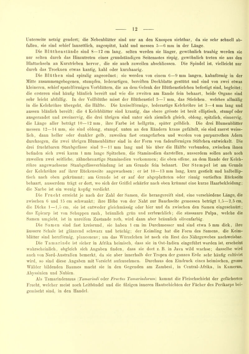 Unterseite netzig geadert; die Nebenblätter sind nur an den Knospen sichtbar, da sie sehr schnell ab- fallen, sie sind schief lanzettlich, zugespitzt, kahl und messen 5—6 mm in der Länge. Die Blüthenstände sind 8—12 cm lang, selten werden sie länger, gewöhnlich traubig werden sie nur selten durch das Hinzutreten eines grundständigen Seitenastes rispig, gewöhnlich treten sie aus den Blattachseln an Kurztrieben hervor, die sie auch zuweilen abschliessen. Die Spindel ist, vielleicht nur durch das Trocknen etwas kantig, kahl oder kurzhaarig. Die Blüthen sind spiralig angeordnet; sie werden von einem 6—9 mm langen, kahnförmig in der Mitte zusammengebogenen, stumpfen, lederartigen, bereiften Deckblatte gestützt und sind von zwei etwas kleineren, schief spatelförmigen Vorblättern, die an dem Gelenk der Blüthenstielchen befestigt sind, begleitet; die ersteren sind häufig bläulich bereift und wie die zweiten am Rande fein behaart, beide Organe sind sehr leicht abfällig. In der Vollblüthe misst der Bltithenstiel 5—7 mm, das Stielchen, welches allmälig in die Kelchröhre tibergeht, die Hälfte. Die kreiselförmige, lederartige Kelchröhre ist 3—4 mm lang und aussen bläulich bereift; die 4 Kelchblätter sind krautig, das obere grösste ist breit elliptisch, stumpf oder ausgerandet und zweinervig, die drei übrigen sind unter sich ziemlich gleich, oblong, spitzlich, einnervig, die Länge aller beträgt 10—12mm, ihre Farbe ist hellgrün, später gelblich. Die drei Blumenblätter messen 12—14 mm, sie sind oblong, stumpf, unten an den Rändern kraus gefältelt, sie sind zuerst weiss- lich, dann heller oder dunkler gelb, zuweilen fast orangefarben und werden von purpurrothen Adern durchzogen, die zwei übrigen Blumenblätter sind in der Form von fadenförmigen Stiftchen entwickelt. Die drei fruchtbaren Staubgefässe sind 9—11 mm lang und bis über die Hälfte verbunden, zwischen ihnen befinden sich zwei kaum 1 mm lange Spitzchen, die Staminodien darstellen, ausserdem sollen auch noch zuweilen zwei seitliche, zähnchenartige Staminodien Vorkommen; die oben offene, an dem Rande der Kelch- röhre angewachsene Staubgefässverbindung ist am Grunde fein behaart. Der Stempel ist am Grunde der Kelchröhre auf ihrer Rückenseite an gewachsen; er ist 10—13 mm lang, kurz gestielt und halbellip- tisch nach oben gekrümmt; am Grunde ist er auf der abgeplatteten oder rinnig vertieften Rückseite behaart, ausserdem trägt er dort, wo sich der Griffel schärfer nach oben krümmt eine kurze Haarbekleidung; die Narbe ist ein wenig kopfig verdickt. Die Frucht erreicht je nach der Zahl der Samen, die herangereift sind, eine verschiedene Länge, die zwischen 6 und 15 cm schwankt; ihre Höhe von der Naht zur Bauchseite gemessen beträgt 1,5—2,5 cm, die Dicke 1—1,5 cm. sie ist entweder gleichmässig oder hier und da zwischen den Samen eingeschnürt; das Epicarp ist von Schuppen rauh, bräunlich grün und zerbrechlich; die süsssaure Pulpa, welche die Samen umgiebt, ist in unreifem Zustande roth, wird dann aber bräunlich olivenfarbig. Die Samen sind fast kreisrund, sie haben 1 cm im Durchmesser und sind etwa 5 mm dick, ihre äussere Schale ist glänzend schwarz und brüchig; der Keimling hat die Form des Samens, die Keim- blätter sind herzförmig, planconcav; um das Würzelchen ist noch ein Rest des Nährgewebes nachweisbar. Die Tamarinde ist sicher in Afrika heimisch, dass sie in Ost-Indien eingeführt worden ist, erscheint wahrscheinlich, obgleich sich Angaben finden, dass sie dort z. B. in Java wild wachse; dasselbe wird auch von Nord-Australien bemerkt, da sie aber innerhalb der Tropen der ganzen Erde sehr häufig cultivirt wird, so sind diese Angaben mit Vorsicht aufzunehmen. Durchaus den Eindruck eines heimischen, grosse Wälder bildenden Baumes macht sie in den Gegenden am Zambesi, in Central-Afrika, in Kamerun, Abyssinien und Nubien. Als Tamarindenmus (Tamarindi oder Fructus Tamarindorum) kommt die Fleischschicht der gefächerten Frucht, welcher meist noch Leitbündel und die filzigen inneren Hautschichten der Fächer des Perikarps bei- gemischt sind, in den Handel.