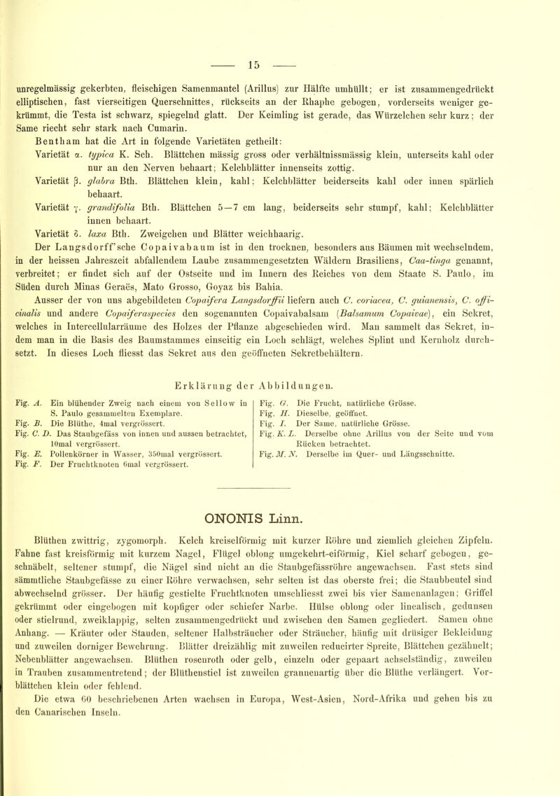 unregelmässig gekerbten, fleischigen Samenmantel (Arillus) zur Hälfte umhüllt; er ist zusammengedrückt elliptischen, fast vierseitigen Querschnittes, rückseits an der Rhaphe gebogen, vorderseits weniger ge- krümmt, die Testa ist schwarz, spiegelnd glatt. Der Keimling ist gerade, das Würzelchen sehr kurz; der Same riecht sehr stark nach Cumarin. Bentham hat die Art in folgende Varietäten getheilt: Varietät a. typica K. Sch. Blättchen mässig gross oder verhältnissmässig klein, unterseits kahl oder nur an den Nerven behaart; Kelchblätter innenseits zottig. Varietät ß. glabra Bth. Blättchen klein, kahl; Kelchblätter beiderseits kahl oder innen spärlich behaart. Varietät y. grandifolia Bth. Blättchen 5—7 cm lang, beiderseits sehr stumpf, kahl; Kelchblätter innen behaart. Varietät 0. laxa Bth. Zweigehen und Blätter weichhaarig. Der Langsdorff’sche Copaivabaum ist in den trocknen, besonders aus Bäumen mit wechselndem, in der heissen Jahreszeit abfallendem Laube zusammengesetzten Wäldern Brasiliens, Caa-tinga genannt, verbreitet; er findet sich auf der Ostseite und im Innern des Reiches von dem Staate S. Paulo, im Süden durch Minas Geraes, Mato Grosso, Goyaz bis Bahia. Ausser der von uns abgebildeten Copaifera Langsdorffii liefern auch C. coriacea, C. guianensis, C. offi- cinalis und andere Copaiferaspecies den sogenannten Copaivabalsam [Baisamum Copaivae), ein Sekret, welches in Intercellularräume des Holzes der Pflanze abgeschieden wird. Man sammelt das Sekret, in- dem man in die Basis des Baumstammes einseitig ein Loch schlägt, welches Splint und Kernholz durch- setzt. In dieses Loch fliesst das Sekret aus den geöffneten Sekretbehältern. Erklärung der Abbildungen. Fig. A. Ein blühender Zweig nach einem von Sellow in S. Paulo gesammelten Exemplare. Fig. B. Die Blüthe, 4mal vergrössert. Fig. C. D. Das Staubgefäss von innen und aussen betrachtet, lOmal vergrössert. Fig. E. Pollenkörner in Wasser, 350mal vergrössert. Fig. F. Der Fruchtknoten 6mal vergrössert. Fig. 6r. Die Frucht, natürliche Grösse. Fig. H. Dieselbe, geöffnet. Fig. I. Der Same, natürliche Grösse. Fig. K. L. Derselbe ohne Arillus von der Seite und vom Rücken betrachtet. Fig. M. N. Derselbe im Quer- und Längsschnitte. ONONIS Linn. Blüthen zwittrig, zygomorph. Kelch kreiselförmig mit kurzer Röhre und ziemlich gleichen Zipfeln. Fahne fast kreisförmig mit kurzem Nagel, Flügel oblong umgekehrt-eiförmig, Kiel scharf gebogen, ge- schnäbelt, seltener stumpf, die Nägel sind nicht an die Staubgefässröhre angewachsen. Fast stets sind sämmtliche Staubgefässe zu einer Röhre verwachsen, sehr selten ist das oberste frei; die Staubbeutel sind abwechselnd grösser. Der häufig gestielte Fruchtknoten umschliesst zwei bis vier Samenanlagen; Griffel gekrümmt oder eingebogen mit kopfiger oder schiefer Narbe. Hülse oblong oder linealisch, gedunsen oder stielrund, zweiklappig, selten zusammengedrückt und zwischen den Samen gegliedert. Samen ohne Anhang. — Kräuter oder Stauden, seltener Halbsträucher oder Sträucher, häufig mit drüsiger Bekleidung und zuweilen dorniger Bewehrung. Blätter dreizählig mit zuweilen reducirter Spreite, Blättchen gezähnelt; Nebenblätter angewachsen. Blüthen rosenroth oder gelb, einzeln oder gepaart achselständig, zuweilen in Trauben zusammentretend; der Blüthenstiel ist zuweilen grannenartig über die Blüthe verlängert. Vor- blättchen klein oder fehlend. Die etwa 60 beschriebenen Arten wachsen in Europa, West-Asien, Nord-Afrika und gehen bis zu den Canarischen Inseln.
