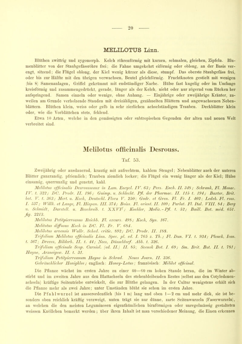 MELILOTUS Linn. Bliithen zwittrig und zygomorph. Kelch röhrenförmig mit kurzen, schmalen, gleichen, Zipfeln. Blu- menblätter von der Staubgefässröhre frei; die Fahne umgekehrt eiförmig oder oblong, an der Basis ver- engt, sitzend; die Flügel oblong, der Kiel wenig kürzer als diese, stumpf. Das oberste Staubgefäss frei, oder bis zur Hälfte mit den übrigen verwachsen, Beutel gleichförmig. Fruchtknoten gestielt mit wenigen (bis 8) Samenanlagen, Griffel gekrümmt mit endständiger Narbe. Hülse fast kugelig oder im Umfange kreisförmig und zusammengedrückt, gerade, länger als der Kelch, nicht oder nur zögernd vom Rücken her aufspringend. Samen einzeln oder wenige, ohne Anhang. — Einjährige oder zweijährige Kräuter, zu- weilen am Grunde verholzende Stauden mit dreizähligen, gezähnelten Blättern und angewachsenen Neben- blättern. Blüthen klein, weiss oder gelb in sehr zierlichen achselständigen Trauben. Deckblätter klein oder, wie die Vorblättchen stets, fehlend. Etwa 10 Arten, welche in den gemässigten oder subtropischen Gegenden der alten und neuen Welt verbreitet sind. Melilotus officinalis Desrouss. Taf. 53. Zweijährig oder ausdauernd, krautig mit aufrechtem, kahlem Stengel; Nebenblätter auch der unteren Blätter ganzrandig, pfriemlich; Trauben ziemlich locker; die Flügel ein wenig länger als der Kiel; Hülse einsamig, querrunzlig und genetzt, kahl. Melilotus officinalis Desrousseaux in Lam. Encycl. IV. 63; Pers. Euch. II. 348; Schrank, Fl. Monac. IV. t. 322; DC. Prodr. II. 186; Guimp. u. Schlecht. Pfi. der Pharmac. II. 115 t. 194; Baxter, Brit. bot. V. t. 363; Mert. u. Koch, Deutschi. Flora V. 250; Godr. et Gren. Fl. Fr. I. 402; Ledeb. Fl. ross. I. 537; Willk. et Lange, Fl. Hispan. III. 374; Boiss. Fl. Orient. II. 109; Parlat. Fl. Ital. VIII. 84; Berg u. Schmidt, Darstell, u. Beschreib, t. XXVlf; Koehler, Mediz.-Pfl. t. 52; Baill. Bot. med. 651. fig. 2213. Melilotus Petitpierreanus Reichb. Fl. excurs. 498; Koch, Syn. 167. Melitotus diffusus Koch in DC. Fl. Fr. V. 684. Melilotus arvensis Wallr. Sched. critic. 892; DC. Prodr. II. 188. Trifolium Melilotus officinalis Linn. Spec. pl. ed. I. 765 z. Th.; Fl. Dan. VI. t. 934; Plenck, Icon, t. 567; Dreves, Bilderb. II. t. 44; Nees, Düsseldorf. Abb. t. 326. Trifolium officinale Scop. Carniol. (ed. II.) II. 85; Svensk Bot. I. 69; Sm. Brit. Bot. II. t. 781; Hayne, Arzneigew. II. t. 31. Trifolium Petitpierreanum Hayne in Schrad. Neues Journ. II. 336. Gebräuchlicher Honigklee; englisch: Honey-Lotus; französisch : Melilot officinal. Die Pflanze wächst im ersten Jahre zu einer 40—60 cm hohen Staude heran, die im Winter ab- stirbt und im zweiten Jahre aus den Blattachseln des stehenbleibenden Restes (selbst aus den Cotyledonen- achseln) kräftige Seitentriebe entwickelt, die zur Blüthe gelangen. In der Cultur wenigstens erhält sich die Pflanze mehr als zwei Jahre; unter Umständen blüht sie schon im ersten Jahre. Die Pfahlwurzel ist ausserordentlich (bis 1 m) lang und oben 1 — 2 cm und mehr dick, sie ist be- sonders oben reichlich kräftig verzweigt, unten trägt sie nur dünne, zarte Seitenwurzeln (Faserwurzeln), an welchen die den meisten Leguminosen eigenthümlichen bimförmigen oder unregelmässig gestalteten weissen Knöllchen bemerkt werden ; über ihren Inhalt ist man verschiedener Meinung, die Einen erkennen
