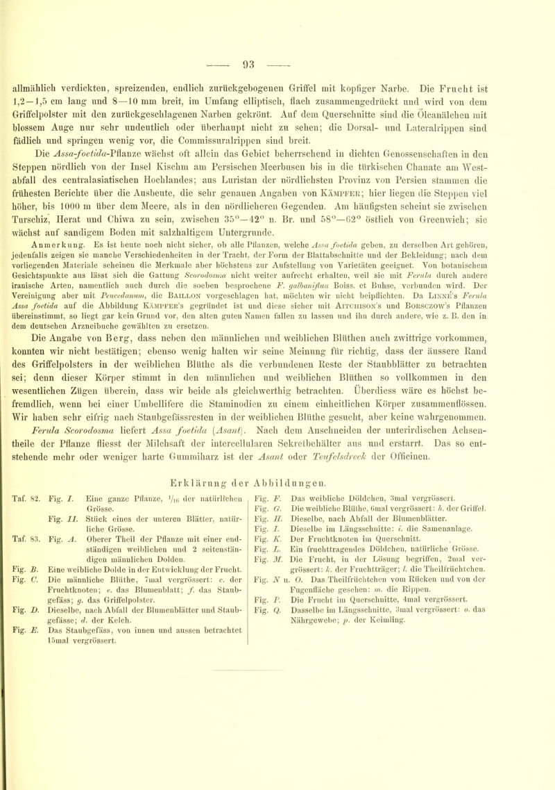 allmählich verdickten, spreizenden, endlich zurückgebogenen Griffel mit kopfiger Narbe. Die Frucht ist 1,2—1,5 cm lang und 8—10 mm breit, im Umfang elliptisch, flach zusammengedrückt und wird von dem Griffelpolster mit den zurückgeschlagenen Narben gekrönt. Auf dem Querschnitte sind die Ölcanälchen mit blossem Auge nur sehr undeutlich oder überhaupt nicht zu sehen; die Dorsal- und Lateralrippen sind fädlich und springen wenig vor, die Commissuralrippen sind breit. Die Assa-foetida-Püsaaze wächst oft allein das Gebiet beherrschend in dichten Genossenschaften in den Steppen nördlich von der Insel Kischm am Persischen Meerbusen bis in die türkischen Chanate am West- abfall des centralasiatischen Hochlandes; aus Luristan der nördlichsten Provinz von Persien stammen die frühesten Berichte Uber die Ausbeute, die sehr genauen Angaben von Kämpfer; hier liegen die Steppen viel höher, bis 1000 m über dem Meere, als in den nördlicheren Gegenden. Am häufigsten scheint sie zwischen Turschiz, Herat und Chiwa zu sein, zwischen 35°—42° n. Br. und 58°—62° östlich von Greenwich; sie wächst auf sandigem Boden mit salzhaltigem Untergründe. Anmerkung. Es ist heute noch nicht sicher, ob alle Pflanzen, welche Assa foetida geben, zu derselben Art gehören, jedenfalls zeigen sie manche Verschiedenheiten in der Tracht, der Form der Blattabschnitte und der Bekleidung; nach dem vorliegenden Materiale scheinen die Merkmale aber höchstens zur Aufstellung von Varietäten geeignet. Von botanischem Gesichtspunkte aus lässt sich die Gattung Scorodosma nicht weiter aufrecht erhalten, weil sie mit Ferula durch andere iranische Arten, namentlich auch durch die soeben besprochene F. galbanißua Boiss. et Buhse, verbunden wird. Der Vereinigung aber mit Feucedanum, die Baillon vorgeschlagen hat, möchten wir nicht beipflichten. Da Linne’s Ferula Assa foetida auf die Abbildung Kämpfer’s gegründet ist und diese sicher mit Aitchison’s und Borsczow’s Pflanzen übereinstimmt, so liegt gar kein Grund vor, den alten guten Namen fallen zu lassen und ihn durch andere, wie z. B. den in dem deutschen Arzneibuche gewählten zu ersetzen. Die Angabe von Berg, dass neben den männlichen und weiblichen Blüthen auch zwittrige Vorkommen, konnten wir nicht bestätigen; ebenso wenig halten wir seine Meinung für richtig, dass der äussere Band des Griffelpolsters in der weiblichen Blüthe als die verbundenen Reste der Staubblätter zu betrachten sei; denn dieser Körper stimmt in den männlichen und weiblichen Blüthen so vollkommen in den wesentlichen Zügen überein, dass wir beide als gleichwerthig betrachten. Überdiess wäre es höchst be- fremdlich, wenn bei einer Umbellifere die Staminodien zu einem einheitlichen Körper zusammenflössen. Wir haben sehr eifrig nach Staubgefässresten in der weiblichen Blüthe gesucht, aber keine wahrgenommen. Ferula Scorodosma liefert Assa foetida (Asant). Nach dem Anschneiden der unterirdischen Achsen- theile der Pflanze fliesst der Milchsaft der intercellularen Sekretbehälter aus und erstarrt. Das so ent- stehende mehr oder weniger harte Gummiharz ist der Asant oder Teufelsdreck der Officinen. Erklärung der Abbildungen. Taf. 82. Fig. I. Eine ganze Pflanze, */i6 der natürlichen Grosse. Fig. II. Stück eines der unteren Blätter, natür- liche Grösse. Taf. 83. Fig. A. Oberer Theil der Pflanze mit einer end- ständigen weiblichen und 2 seitenstän- digen männlichen Dolden. Fig. B. Eine weibliche Dolde in der Entwicklung der Frucht. Fig. C. Die männliche Blüthe, 7mal vergrössert: c. der Fruchtknoten; e. das Blumenblatt; /. das Staub- gefäss; g. das Griffelpolster. Fig. D. Dieselbe, nach Abfall der Blumenblätter und Staub- gefässe; d. der Kelch. Fig. E. Das Staubgefäss, von innen und aussen betrachtet 15mal vergrössert. Fig. F. Das weibliche Döldchen, 3mal vergrössert. Fig. G. Die weibliche Blüthe, 6mal vergrössert: h. der Griffel. Fig. H. Dieselbe, nach Abfall der Blumenblätter. Fig. I. Dieselbe im Längsschnitte: i. die Samenanlage. Fig. Jt. Der Fruchtknoten im Querschnitt. Fig. L. Ein fruchttragendes Döldchen, natürliche Grösse. Fig. M. Die Frucht, in der Lösung begriffen, 2mal ver- grössert: k. der Fruchtträger; l. die Theilfrüchtchen. Fig. N u. O. Das Theilfrüchtchen vom Bücken und von der Fugenfläche gesehen: in. die Rippen. Fig. F. Die Frucht im Querschnitte, 4mal vergrössert. Fig. Q. Dasselbe im Längsschnitte, 3mal vergrössert: o. das Nährgewebe; p. der Keimling.