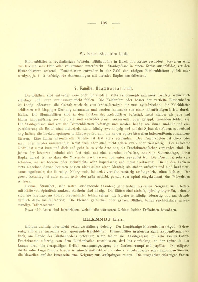 VI. Reihe: Rhamnales Lindl. Bliithenblätter in regelmässigen Wirteln; Blüthenhülle in Kelch und Krone gesondert, bisweilen wird die letztere sehr klein oder vollkommen unterdrückt. Staubgefässe in einem Kreise ausgebildet, vor den Blumenblättern stehend. Fruchtblätter entweder in der Zahl den übrigen Blütkenblättern gleich oder weniger, je 1—2 aufsteigende Samenanlagen mit dorsaler Raphe umschliessend. 7. Familie: Rhamnaceac Lindl. Die Bliithen sind entweder vier- oder fünfgliedrig, stets aktinomorph und meist zwittrig, wenn auch vielehige und zwar zweihäusige nicht fehlen. Die Kelchröhre oder besser der vertiefte Blüthenboden ist häufig lederartig, die Gestalt wechselt vom kreiselförmigen bis zum cylindrischen; die Kelchblätter schliessen mit klappiger Deckung zusammen und werden innenseits von einer linienförmigen Leiste durch- laufen. Die Blumenblätter sind in den Lücken der Kelchblätter befestigt, meist kleiner als jene und häufig kappenförmig gestaltet; sie sind entweder ganz, ausgerandet oder gelappt, bisweilen fehlen sie. Die Staubgefässe sind vor den Blumenblättern befestigt und werden häufig von ihnen umhüllt und ein- geschlossen; die Beutel sind dithecisch, klein, häufig zweiknöpfig und auf der Spitze des Fadens schwebend angeheftet; die Theken springen in Längsspalten auf, die an der Spitze bisweilen hufeisenförmig Zusammen- flüssen. Eine Honig absondernde Scheibe ist fast stets vorhanden. Der Fruchtknoten ist ober- oder mehr oder minder unterständig, meist drei- aber auch nicht selten zwei- oder vierfächrig. Der aufrechte Griffel ist meist kurz und dick und geht in so viele Äste aus, als Fruchtknotenfächer vorhanden sind. In jedem der letzteren befindet sich fast stets nur eine einzelne aufrechte, anatrope Samenanlage, deren Raphe dorsal ist, so dass die Micropyle nach aussen und unten gewendet ist. Die Frucht ist sehr ver- schieden, sie ist beeren- oder Steinfrucht- oder kapselartig und meist dreifächrig. Die in den Fächern stets einzelnen Samen besitzen aussen nicht selten einen Mantel; sie stehen aufrecht und sind häufig zu- sammengedrückt; das fleischige Nährgewebe ist meist verhältnissmässig umfangreich, selten fehlt es. Der grosse Keimling ist nicht selten gelb oder grün gefärbt, gerade oder spiral eingekrümmt; das Würzelchen ist kurz. Bäume, Sträucher, sehr selten ausdauernde Stauden; jene haben bisweilen Neiguug zum Klettern mit Hülfe von Spiralfederranken; Stacheln sind häufig. Die Blätter sind einfach, spiralig angereiht, seltener sind sie kreuzgegenständig; Nebenblätter fehlen selten; die Spreite ist häufig lederartig und am Grunde deutlich drei- bis fünfnervig. Die kleinen gelblichen oder grünen Blüthen bilden reichblüthige, achsel- ständige Inflorescenzen. Etwa 450 Arten sind beschrieben, welche die wärmeren Gebiete beider Erdhälften bewohnen. RHAMNUS Linn. Bliithen zwittrig oder nicht selten zweihäusig vielehig. Der krugförmige Blüthenboden trägt 4—5 drei- seitig eiförmige, aufrechte oder spreizende Kelchblätter. Blumenblätter in gleicher Zahl, kappenförmig oder flach, am Rande des Blüthenbodens befestigt; selten fehlen sie. Staubgefässe mit sehr kurzen Fäden. Fruchtknoten eiförmig, von dem Blüthenboden umschlossen, drei bis vierfächrig, an der Spitze in den kurzen drei- bis vierspaltigen Griffel zusammengezogen; die Narben stumpf und papiliös. Die ellipsoi- dische oder kugelförmige Frucht ist eine Steinfrucht mit 2 oder 4 knochenharten oder knorpligen Steinen, die bisweilen auf der Innenseite eine Neigung zum Aufspringen zeigen. Die umgekehrt eiförmigen Samen