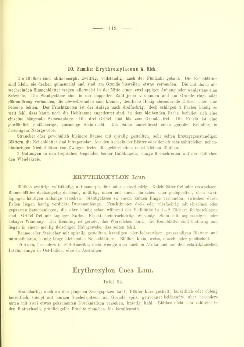 10. Familie: Erythroxylaceae A. Rieh. Die Blüthen sind aktinomorph, zwittrig, vollständig, nach der Fünfzahl gebaut. Die Kelchblätter sind klein, sie decken quincuncial und sind am Grunde bisweilen etwas verbunden. Die mit ihnen ab- wechselnden Blumenblätter tragen allermeist in der Mitte einen zweilappigen Anhang oder wenigstens eine Schwiele. Die Staubgefässe sind in der doppelten Zahl jener vorhanden und am Grunde ring- oder röhrenförmig verbunden, die abwechselnden sind kleiner; deutliche Honig absondernde Drüsen oder eine Scheibe fehlen. Der Fruchtknoten ist der Anlage nach dreifächrig, doch schlagen 2 Fächer häufig so weit fehl, dass kaum noch die Hohlräume angedeutet sind, in dem bleibenden Fache befindet sich eine einzelne hängende Samenanlage. Die drei Griffel sind bis zum Grunde frei. Die Frucht ist eine gewöhnlich einfächerige, einsamige Steinfrucht. Der Same umschliesst einen geraden Keimling in fleischigem Nährgewebe. Sträucher oder gewöhnlich kleinere Bäume mit spiralig gestellten, sehr selten kreuzgegenständigen Blättern, die Nebenblätter sind intrapetiolar. Aus den Achseln der Blätter oder der oft sehr zahlreichen neben- blattartigen Niederblätter von Zweigen treten die geblischeiten, meist kleinen Blüthen. 3 Gattungen in den tropischen Gegenden beider Halbkugeln, einige überschreiten auf der südlichen den Wendekreis. ERYTHROXYLON Linn. Blüthen zwittrig, vollständig, aktinomorph, fünf- oder sechsgliedrig. Kelchblätter frei oder verwachsen. Blumenblätter dachziegelig deckend, abfällig, innen mit einem einfachen oder gedoppelten, oben zwei- lappigen häutigen Anhänge versehen. Staubgefässe zu einem kurzen Ringe verbunden, zwischen deren Fäden liegen häufig verdickte Drüsenanhänge. Fruchtknoten drei- oder vierfächrig mit einzelnen oder gepaarten Samenanlagen, die aber häufig schon während der Yollblüthe in 1—2 Fächern fehlgeschlagen sind; Griffel frei mit kopfiger Narbe. Frucht steinfruchtartig, einsamig, Stein mit papierartiger oder holziger Wandung. Der Keimling ist gerade, das Würzelchen kurz, die Keimblätter sind blattartig und liegen in einem mehlig fleischigen Nährgewebe, das selten fehlt. Bäume oder Sträucher mit spiralig gestellten, krautigen oder lederartigen, ganzrandigen Blättern und intrapetiolaren, häufig lange bleibenden Nebenblättern. Blüthen klein, weiss, einzeln oder gebüschelt. 60 Arten, besonders in Süd-Amerika, nicht wenige aber auch in Afrika und auf den ostafrikanischen Inseln, einige in Ost-Indien, eine in Australien. Erythroxylon Coca Lam. Tafel 94. Strauchartig, auch an den jüngsten Zweigspitzen kahl; Blätter kurz gestielt, lanzettlich oder oblong lanzettlich, stumpf mit kurzen Stachelspitzen, am Grunde spitz, getrocknet beiderseits, aber besonders unten mit zwei etwas gekrümmten Druckmarken versehen, krautig, kahl. Blüthen nicht sehr zahlreich in den Blattachseln, grünlichgelb; Früchte zinnober- bis korallenroth.