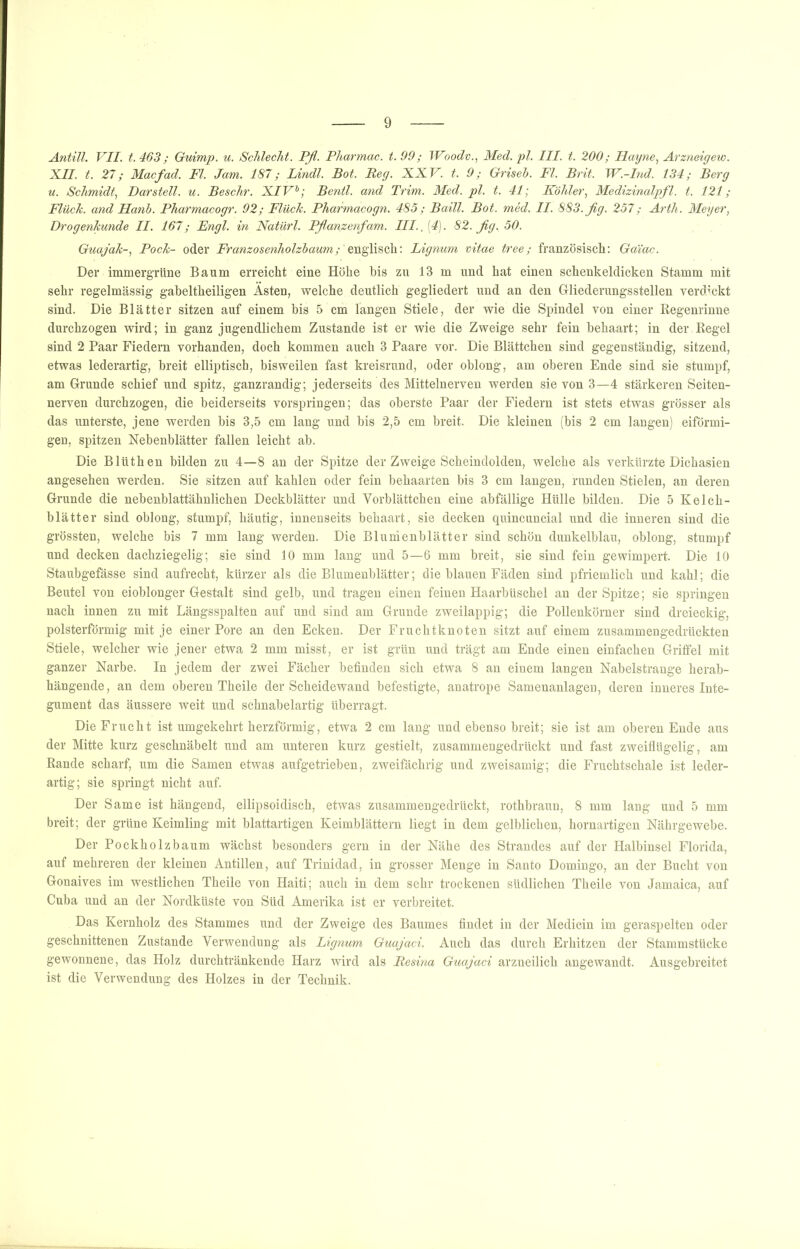 Antill. VII. t. 463; Guimp. u. Schlecht. Pß. Pharmac. t. 99; Woodv.., Med. pl. III. t. 200; Hayne, Arzneigew. IK.II. t. 27; Macfad. Fl. Jam. 187; Lindl. Bot. Reg. XXV. t. 9; Griseb. Fl. Brit. W.-Ind. 134; Berg u. Schmidt, Darstell, u. Beschr. XIV^; Bentl. and Trim. Med.pl. t. 41; Köhler, Medizinalpfl. t. 121; Fluch, and Hanh. Pharmacogr. 92; Fluch. Pharmacogn. 485; Baill. Bot. med. II. 883. fig. 257; Arth. Meyer, Drogenhunde II. 167; Engl, in Natürl. Pßanzenfam. III., [4). 82. ßg. 50. Guajah-, Poch- oder Franzosenholzbaum;'Lignum vitae tree; französisch: Gaiac. Der immergrüne Baum erreicht eine Höhe bis zu 13 m und hat einen schenkeldicken Stamm mit sehr regelmässig gaheltheiligen Ästen, welche deutlich gegliedert und an den Gliederungsstellen verdickt sind. Die Blätter sitzen auf einem bis 5 cm langen Stiele, der wie die Spindel von einer Regenrinne durchzogen wird; in ganz jugendlichem Zustande ist er wie die Zweige sehr fein behaart; in der Regel sind 2 Paar Fiedern vorhanden, doch kommen auch 3 Paare vor. Die Blättchen sind gegenständig, sitzend, etwas lederartig, breit elliptisch, bisweilen fast kreisrund, oder oblong, am oberen Ende sind sie stumpf, am Grunde schief und spitz, ganzrandig; jederseits des Mittelnerven werden sie von 3—4 stärkeren Seiten- nerven durchzogen, die beiderseits vorspringen; das oberste Paar der Fiedern ist stets etwas grösser als das unterste, jene werden bis 3,5 cm lang und bis 2,5 cm breit. Die kleinen (bis 2 cm langen) eiförmi- gen, spitzen Nebenblätter fallen leicht ab. Die Blüthen bilden zu 4—8 an der Spitze der Zweige Scheindolden, welche als verkürzte Dichasien angesehen werden. Sie sitzen auf kahlen oder fein behaarten bis 3 cm langen, runden Stielen, an deren Grunde die nebenblattähnlichen Deckblätter und Vorblättchen eine abfällige Hülle bilden. Die 5 Kelch- blätter sind oblong, stumpf, häutig, innenseits behaart, sie decken quincuncial und die inneren sind die grössten, welche bis 7 mm lang werden. Die Blunienblätter sind schön dunkelblau, oblong, stumpf und decken dachziegelig; sie sind 10 mm lang und 5—6 mm breit, sie sind fein gewimpert. Die 10 Staubgefässe sind aufrecht, kürzer als die Blumenblätter; die blauen Fäden sind pfriemlich und kahl; die Beutel von eioblonger Gestalt sind gelb, und tragen einen feinen Haarbüschel an der Spitze; sie springen nach innen zu mit Längsspalten auf und sind am Grunde zweilappig; die Pollenkörner sind dreieckig, polsterförmig mit je einer Pore an den Ecken. Der Fruchtknoten sitzt auf einem zusammengedrückten Stiele, welcher wie jener etwa 2 mm misst, er ist grün und trägt am Ende einen einfachen Griffel mit ganzer Narbe. In jedem der zwei Fächer befinden sich etwa 8 an einem langen Nabelstrange herab- hängende, an dem oberen Theile der Scheidewand befestigte, anatrope Samenanlagen, deren inneres Inte- gument das äussere weit und schnabelartig überragt. Die Frucht ist umgekehrt herzförmig, etwa 2 cm lang und ebenso breit; sie ist am oberen Ende aus der Mitte kurz geschnäbelt und am unteren kurz gestielt, zusammengedrückt und fast zweiflügelig, am Rande scharf, um die Samen etwas aufgetrieben, zweifächrig und zweisamig; die Fruchtschale ist leder- artig; sie springt nicht auf. Der Same ist hängend, ellipsoidisch, etwas zusammengedrückt, rothbraun, 8 mm lang und 5 mm breit; der grüne Keimling mit blattartigen Keimblättern liegt in dem gelblichen, hornartigen Nährgewebe. Der Pockholzbaum wächst besonders gern in der Nähe des Strandes auf der Halbinsel Florida, auf mehreren der kleinen Antillen, auf Trinidad, in grosser Menge in Santo Domingo, an der Bucht von Gonaives im westlichen Theile von Haiti; auch in dem sehr trockenen südlichen Theile von Jamaica, auf Cuba und an der Nordküste von Süd Amerika ist er verbreitet. Das Kernholz des Stammes und der Zweige des Baumes findet in der Medicin im geraspelten oder geschnittenen Zustande Verwendung als Lignum Guajaci. Auch das durch Erhitzen der Stammstücke gewonnene, das Holz durchtränkende Harz wird als Resina Guajaci arzneilich angewandt. Ausgebreitet ist die Verwendung des Holzes in der Technik.