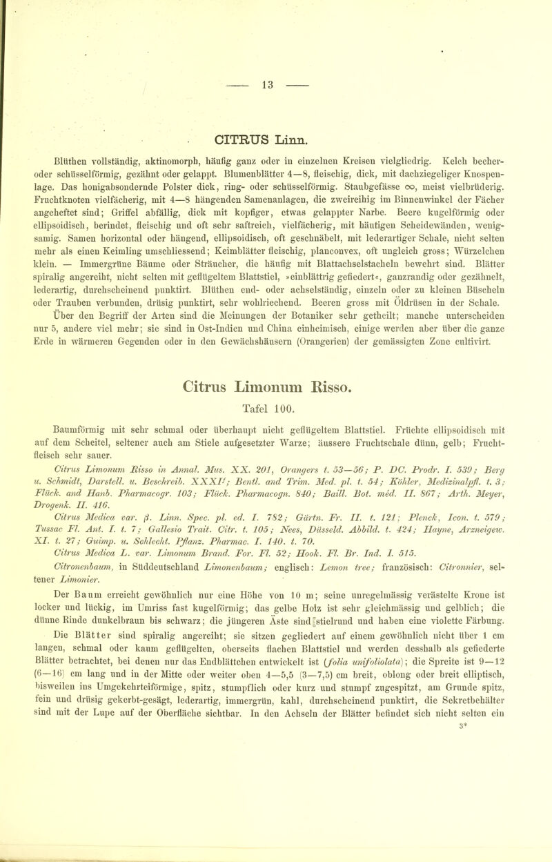 CITRUS Linn. Blüthen vollständig, aktinomorph, häufig ganz oder in einzelnen Kreisen vielgliedrig. Kelch becher- oder schüsselförmig, gezähnt oder gelappt. Blumenblätter 4—8, fleischig, dick, mit dachziegeliger Knospen- lage. Das honigabsondernde Polster dick, ring- oder schüsselförmig. Stauhgefässe oo, meist vielbrüderig. Fruchtknoten vielfächerig, mit 4—8 hängenden Samenanlagen, die zweireihig im Binnenwinkel der Fächer angeheftet sind; Griffel abfällig, dick mit kopfiger, etwas gelappter Narbe. Beere kugelförmig oder ellipsoidisch, berindet, fleischig und oft sehr saftreich, vielfächerig, mit häutigen Scheidewänden, wenig- samig. Samen horizontal oder hängend, ellipsoidisch, oft geschnäbelt, mit lederartiger Schale, nicht selten mehr als einen Keimling umschliessend; Keimblätter fleischig, planconvex, oft ungleich gross; Würzelchen klein. — Immergrüne Bäume oder Sträucher, die häufig mit Blattachselstacheln bewehrt sind. Blätter spiralig angereiht, nicht selten mit geflügeltem Blattstiel, »einblättrig gefledert«, ganzrandig oder gezähnelt, lederartig, durchscheinend punktirt. Blüthen end- oder achselständig, einzeln oder zu kleinen Büscheln oder Trauben verbunden, drüsig punktirt, sehr wohlriechend. Beeren gross mit Öldrüsen in der Schale. Über den Begriff der Arten sind die Meinungen der Botaniker sehr getheilt; manche unterscheiden nur 5, andere viel mehr; sie sind in Ost-Indien und China einheimisch, einige werden aber über die ganze Erde in wärmeren Gegenden oder in den Gewächshäusern (Orangerien) der gemässigten Zone cultivirt. Citrus Limoniim Eisso. Tafel 100. Baumförmig mit sehr schmal oder überhaupt nicht geflügeltem Blattstiel. Früchte ellipsoidisch mit auf dem Scheitel, seltener auch am Stiele aufgesetzter Warze; äussere Fruchtschale dünn, gelb; Frucht- fleisch sehr sauer. Citrus Limonum Risso in Annal. Mus. XX. 201, Orangers t. 53—56; P. DC. Prodr. I. 539; Berg u. Schmidt, Darstell, u. Beschreib. XXXD; Bentl. and Trim. Med. pl. t. 54; Köhler, Medizinalpß. t, 3; Fluch, and Hatih. Pharmacogr. 103; Flüch. Pharmacogn. 840; Baill. Bot. med. II. 867; Arth. Meyer, Drogenk. II. 416. Citrus Medica var. ß. Linn. Spec. pl. ed. I. 782; Gärtn. Fr. II. t. 121; Plench, Icon. t. 579; Tussac Fl. Ant. I. t. 7; Gallesio Trait. Citr. t. 105; Nees, Düsseid. Abbild, t. 424; Hayne, Arzneigew. XI. t. 27; Guimp. u. Schlecht. Pfianz. Pharmac. I. 140. t. 70. Citrus Medica L. var. Limonum Brand. For. Fl. 52; Hook. Fl. Br. Ind. I. 515. Citronenbaum, in Süddeutschland Limonenbaum; englisch: Lemon tree; französisch: Citronnier, sel- tener Limonier. Der Baum erreicht gewöhnlich nur eine Höhe von 10 m; seine unregelmässig verästelte Krone ist locker und lückig, im Umriss fast kugelförmig; das gelbe Holz ist sehr gleichmässig und gelblich; die dünne Kinde dunkelbraun bis schwarz; die jüngeren Äste sind[stielrund und haben eine violette Färbung. Die Blätter sind spiralig angereiht; sie sitzen gegliedert auf einem gewöhnlich nicht über 1 cm langen, schmal oder kaum geflügelten, oberseits flachen Blattstiel und werden desshalb als gefiederte Blätter betrachtet, bei denen nur das Endblättchen entwickelt ist [folia unifoliolata)', die Spreite ist 9—12 (6—16) cm lang und in der Mitte oder weiter oben 4—5,5 (3—7,5) cm breit, oblong oder breit elliptisch, bisweilen ins Umgekehrteiförmige, spitz, stumpflich oder kurz und stumpf zugespitzt, am Grunde spitz, fein und drüsig gekerbt-gesägt, lederartig, immergrün, kahl, durchscheinend punktirt, die Sekretbehälter sind mit der Lupe auf der Oberfläche sichtbar. In den Achseln der Blätter befindet sich nicht selten ein 3*