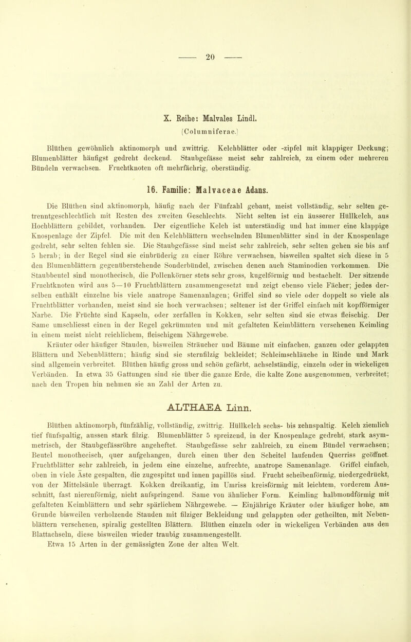 X. Reihe*. Malvales Lindl. (Columniferae.) Blüthen gewöhnlich aktinomorph und zwittrig. Kelchblätter oder -zipfel mit klappiger Deckung; Blumenblätter häufigst gedreht deckend. Staubgefässe meist sehr zahlreich, zu einem oder mehreren Bündeln verwachsen. Fruchtknoten oft mehrfächrig, oberständig. 16. Familie: Malvaceae Adans. Die Blüthen sind aktinomorph, häufig nach der Fünfzahl gebaut, meist vollständig, sehr selten ge- trenntgeschlechtlich mit Resten des zweiten Geschlechts. Nicht selten ist ein äusserer Hüllkelch, aus Hochblättern gebildet, vorhanden. Der eigentliche Kelch ist unterständig und hat immer eine klappige Knospenlage der Zipfel. Die mit den Kelchblättern wechselnden Blumenblätter sind in der Knospenlage gedreht, sehr selten fehlen sie. Die Staubgefässe sind meist sehr zahlreich, sehr selten gehen sie bis auf 5 herab; in der Regel sind sie einbrüderig zu einer Röhre verwachsen, bisweilen spaltet sich diese in 5 den Blumenblättern gegenüberstehende Sonderbündel, zwischen denen auch Staminodien verkommen. Die Staubbeutel sind monotheciseh, die Pollenkörner stets sehr gross, kugelförmig und bestachelt. Der sitzende Fruchtknoten wird aus 5 — 10 Fruchtblättern zusammengesetzt und zeigt ebenso viele Fächer; jedes der- selben enthält einzelne bis viele anatrope Samenanlagen; Griffel sind so viele oder doppelt so viele als Fruchtblätter verbanden, meist sind sie hoch verwachsen; seltener ist der Griffel einfach mit kopfförmiger Narbe. Die Früchte sind Kapseln, oder zerfallen in Kokken, sehr selten sind sie etwas fleischig. Der Same umschliesst einen in der Regel gekrümmten und mit gefalteten Keimblättern versehenen Keimling in einem meist nicht reichlichem, fleischigem Nährgewebe. Kräuter oder häufiger Stauden, bisweilen Sträucher und Bäume mit einfachen, ganzen oder gelappten Blättern und Nebenblättern; häufig sind sie sternfilzig bekleidet; Schleimschläuche in Rinde und Mark sind allgemein verbreitet. Blüthen häufig gross und schön gefärbt, achselständig, einzeln oder in wickeligen Verbänden. In etwa 35 Gattungen sind sie über die ganze Erde, die kalte Zone ausgenommen, verbreitet; nach den Tropen hin nehmen sie an Zahl der Arten zu. ALTHAJEA Linn. Blüthen aktinomorph, fünfzählig, vollständig, zwittrig. Hüllkelch sechs- bis zehnspaltig. Kelch ziemlich tief fünfspaltig, aussen stark filzig. Blumenblätter 5 spreizend, in der Knospenlage gedreht, stark asym- metrisch, der Staubgefässröhre angeheftet. Staubgefässe sehr zahlreich, zu einem Bündel verwachsen; Beutel monotheciseh, quer aufgehangen, durch einen über den Scheitel laufenden Querriss geöffnet. Fruchtblätter sehr zahlreich, in jedem eine einzelne, aufrechte, anatrope Samenanlage. Griffel einfach, oben in viele Äste gespalten, die zugespitzt und innen papillös sind. Frucht scheibenförmig, niedergedrückt, von der Mittelsäule überragt. Kokken dreikantig, im Umriss kreisförmig mit leichtem, vorderem Aus- schnitt, fast nierenförmig, nicht aufspringend. Same von ähnlicher Form. Keimling halbmondförmig mit gefalteten Keimblättern und sehr spärlichem Nährgewebe. — Einjährige Kräuter oder häufiger hohe, am Grunde bisweilen verholzende Stauden mit filziger Bekleidung und gelappten oder getheilten, mit Neben- blättern versehenen, spiralig gestellten Blättern. Blüthen einzeln oder in wickeligen Verbänden aus den Blattachseln, diese bisweilen wieder traubig zusammengestellt. Etwa 15 Arten in der gemässigten Zone der alten Welt.