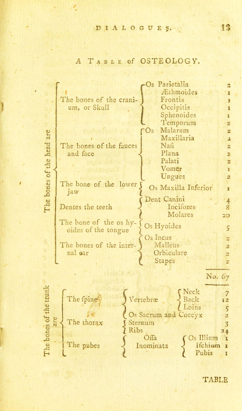 The bones of the trunk The bones of the head are are r—— —— * / A Table of OSTEOLOGY. •The bones of the crani- um, or Skull The bones of the fauces and face « The bone of the lower f jaw 1 Dentes the teeth ! The bone of the os hy- f oides of the tongue | The bones of the inter- nal aar -Os Parietalia z Frontis j Occipitis i Sphenoides i Temporum 2 Os Malarum 2 Maxillaria x Nafi 2 Plana 2 Palati 2 Vomer 1 Ungues 2 Os Maxilla Inferior’ 1 Dent Canini * 4 Incifores 3 Molares 20 Os Hyoides 5 Os Incus 2 Malleus 2 Orbiculare 2 Stapes 2 No. 67 The fpine^- in- The thorax The pubes I j l f Neck Vertebne _ < Back f Loins Os Sacrum and Coccyx Sternum Ribs Ofla Inominata { 7 12 5 2 3 24 Os Tllium 1 Ifchium x Pubis x TABLE