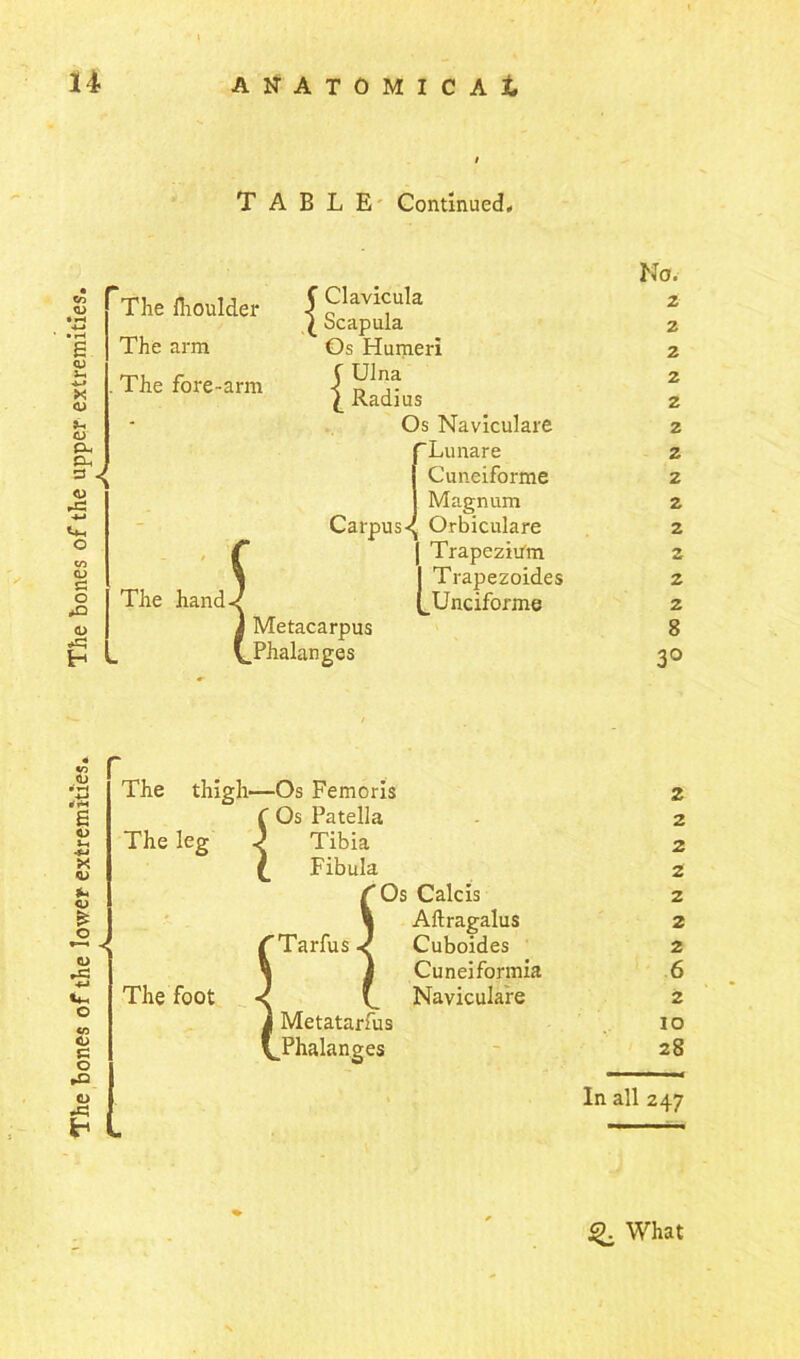 The bones of the lower extremities. The bones of the upper extremities, T ABLE Continued* The Ihoulder The arm The fore-arm < The hand- f Clavicula \ Scapula Os Humeri ( Ulna \ Radius Os Naviculare Lunare Cuneiforme Magnum Carpus-^ Orbiculare | Trapezium I Trapezoides LUnciforme J Metacarpus \_Phalanges No. 2 2 2 2 2 2 2 2 2 2 2 2 8 3° The thigh- The leg The foot Os Femoris Os Patella Tibia Fibula Os Calcis Aftragalus Tarfus -J Cuboides | Cuneiformia ( Naviculare Metatarfus Phalanges U1 cl S' 2 2 2 2 2 2 2 6 2 JO 28 In all 247