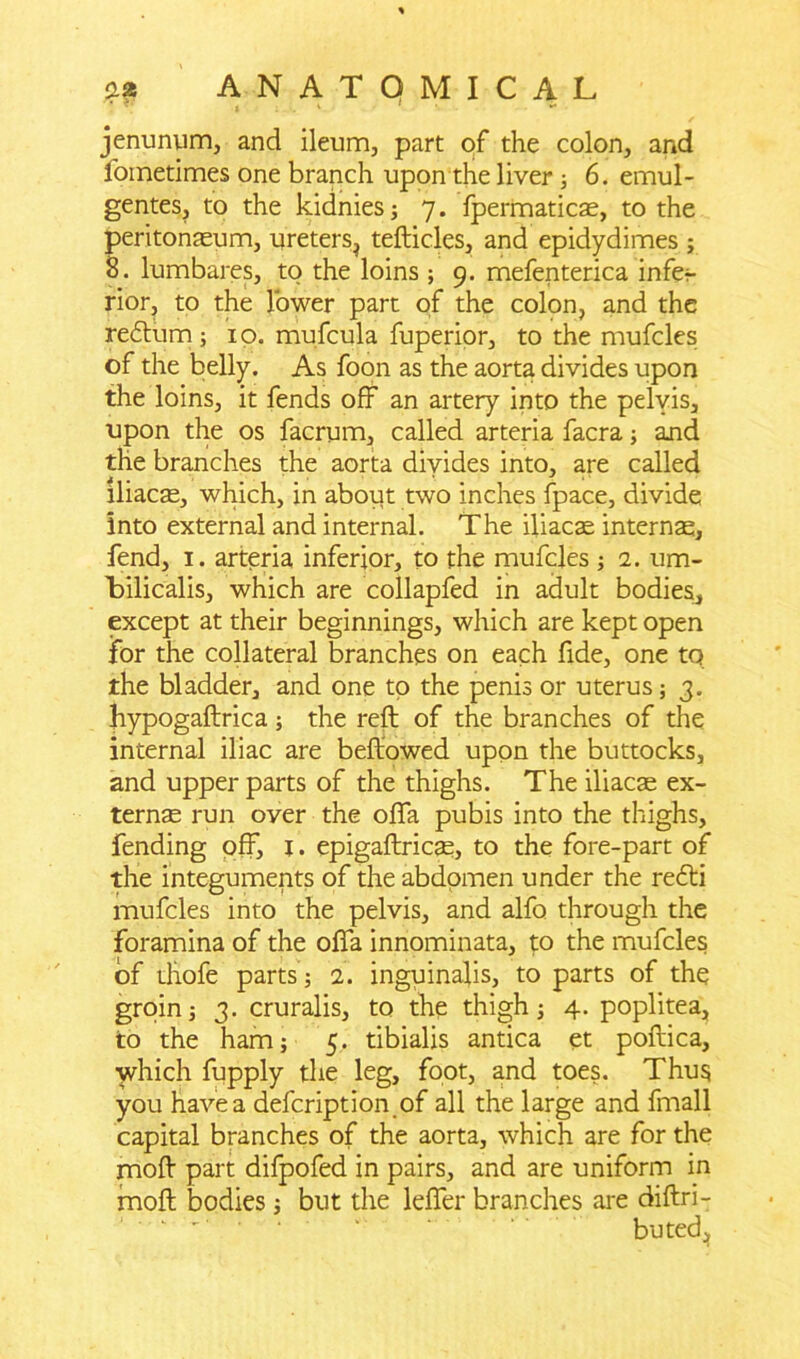 jenunum, and ileum, part of the colon, and fometimes one branch upon the liver 6. emul- gentes, to the kidnies; 7. fpermaticae, to the peritonaeum, ureters^ tefticles, and epidydimes; 8. lumbares, to the loins ; 9. mefenterica infer rior, to the lower part of the colon, and the redtum; 10. mufcula fuperior, to the mufcles of the belly. As foon as the aorta divides upon the loins, it fends off an artery into the pelvis, upon the os facrum, called arteria facra; and the branches the aorta divides into, are called iliac$, which, in about two inches fpace, divide into external and internal. The iliacae internas, fend, 1. arteria inferior, to the mufcles ; 2. um- bilicalis, which are collapfed in adult bodies, except at their beginnings, which are kept open for the collateral branches on each fide, one to the bladder, and one to the penis or uterus; 3. hypogaftrica; the reft of the branches of the internal iliac are bellowed upon the buttocks, and upper parts of the thighs. The iliacae ex- ternae run over the offa pubis into the thighs, fending off, j. epigaftricae, to the fore-part of the integuments of the abdomen under the re6ti mufcles into the pelvis, and alfo through the foramina of the offa innominata, to the mufcles of tliofe parts j 2. inguinalis, to parts of the groin j 3. cruralis, to the thigh 3 4. poplitea, to the ham; 5. tibialis antica et poftica, which fupply the leg, foot, and toes. Thus you have a defcription of all the large and fmall capital branches of the aorta, which are for the moft part difpofed in pairs, and are uniform in moft bodies; but the leffer branches are diftri- buted.