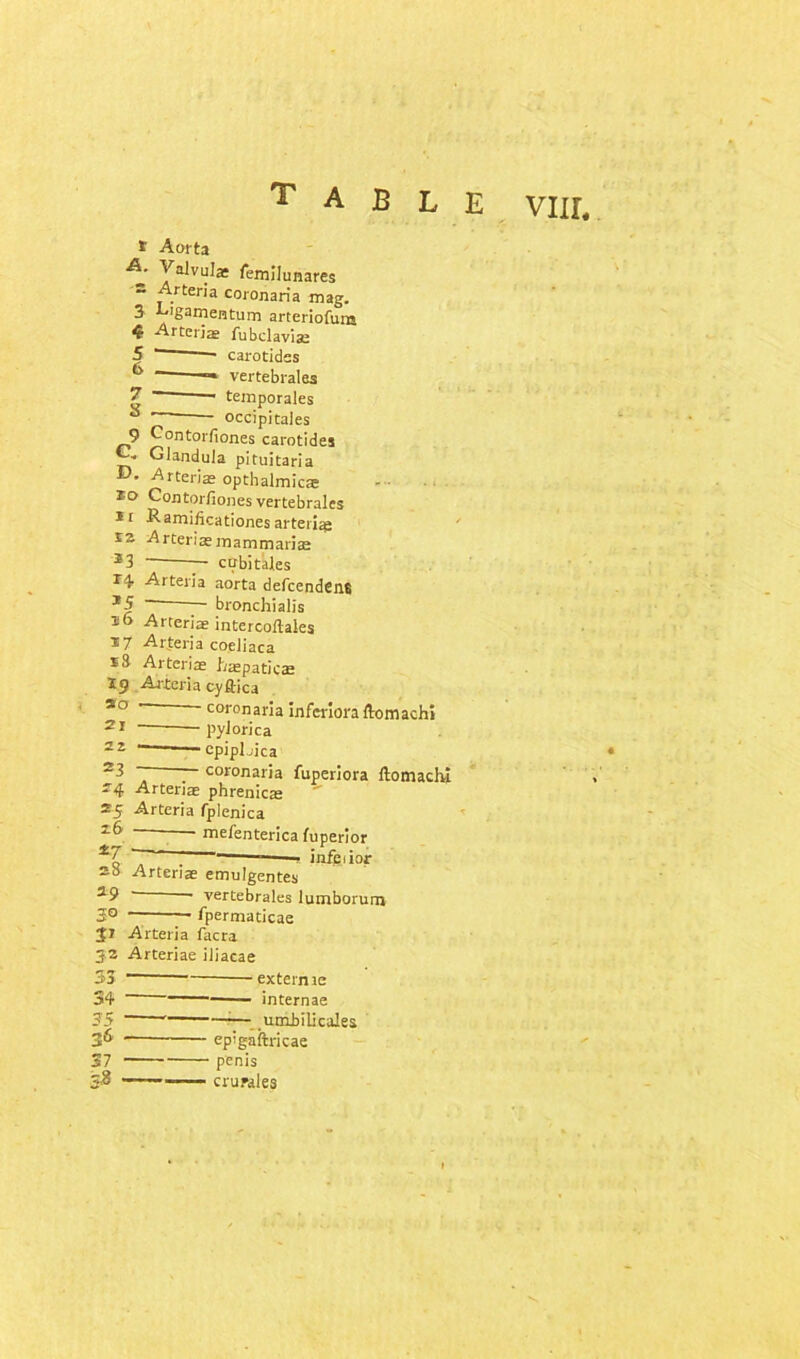 T A B L E viir. i A. Aorta Valvulae femllunares Arteria coronaria mag. R'gamentum arteriofum Arteria fubclaviae carotidss vertebrales temporales occipitales Contorfiones carotides Glandula pituitarla • Arteriae opthalmicse ° Contorfiones vertebrales t Ramiticationes arteries 2 Arteriaemammaries 3 — cobitales 4 Arteria aorta defeendens 5 — bronchialis 6 Arteriae intercollales 7 Arferia coeliaca 3 Arteriae haepaticae ? Arteria cyftica ’ ~ ' coronaria inferiors ftomachi — PyJorica ■ epipLica ~ — coronaria fuperiora ftomachi Arteriae phrenicas Arteria fplenica mefenterica fuperior ~ : ■ inferior Arteriae emulgentes  ’ vertebrales lumborum fpermaticae Arteria facra Arteriae iliacae externre internae umbilicales ■ epigaftricae - penis ■ crurales