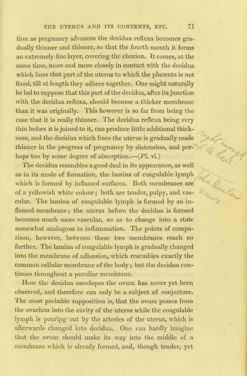 tion as pregnancy advances the decidua reflexa becomes gra- dually thinner and thinner, so that the fourth month it forms an extremely fine layer, covering the chorion. It comes, at the same time, more and more closely in contact with the decidua which lines that part of the uterus to which the placenta is not fixed, till at length they adhere together. One might naturally be led to suppose that this part of the decidua, after its junction with the decidua reflexa, should become a thicker membrane than it was originally. This however is so far from being the case that it is really thinner. The decidua reflexa being very thin before it is joined to it, can produce little additional thick- ness, and the decidua which lines the uterus is gradually made thinner in the progress of pregnancy by distension, and per- haps too by some degree of absorption.—{PI. vi.) The decidua resembles a good deal in its appearance, as well as in its mode of formation, the lamina of coagulable lymph which is formed by inflamed surfaces. Both membranes arc of a yellowish white colour; both arc tender, pulpy, and vas- cular. The lamina of coagulable lymph is formed by an in- flamed membrane; the uterus before the decidua is formed becomes much more vascular, so as to change into a state somewhat analogous to inflammation. The points of compa- rison, however, between these two membranes reach no further. The lamina of coagulable lymph is gradually changed into the membrane of adhaesion, which resembles exactly the common cellular membrane of the body; but the decidua con- tinues throughout a peculiar membrane. How the decidua envelopes the ovum has never yet been observed, and therefore can only be a subject of conjecture. The most probable supposition is, that the ovum passes from the ovarium into the cavity of the uterus while the coagulable lymph is pouring out by the arteries of the uterus, which is afterwards changed into decidua. One can hardly imagine that the ovum should make its way into the middle of a membrane which is already formed, and, though tender, yet