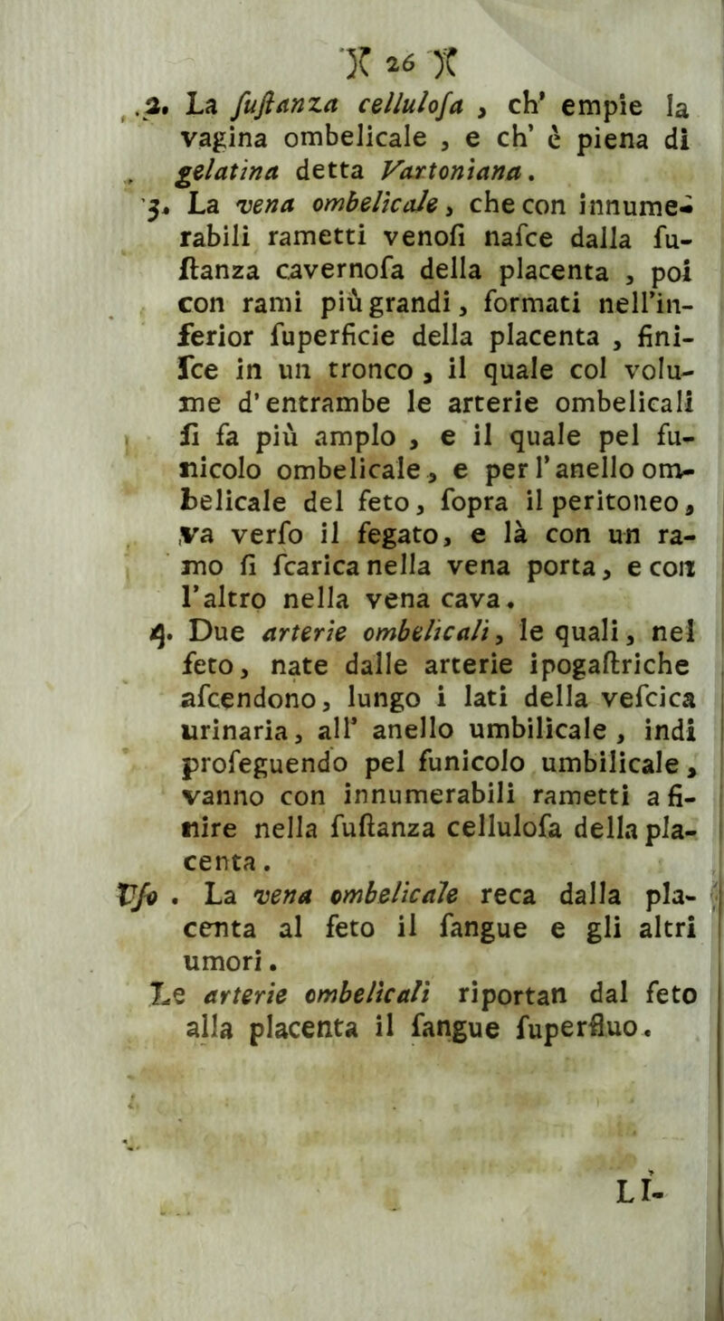 .3. La fuflanza cellulosa , eh* empie la vagina ombelicale , e eh’ c piena di gelatìna detta Vartoniana. La re»* ombelicale, che con innume- rabili rametti venofi nafce dalla fu- flanza cavernofa della placenta , poi con rami più grandi, formati nell’in- ferior fuperficie della placenta , fini- Ice in un tronco , il quale col volu- me d’entrambe le arterie ombelicali il fa più ampio , e il quale pel fu- nicolo ombelicale , e per l’anello om- belicale del feto, fopra il peritoneo, ,va verfo il fegato, e là con un ra- mo fi fcaricanella vena porta, e con l’altro nella vena cava. q. Due arterie ombelicali, le quali, nel feto, nate dalle arterie ipogaftriche afeendono, lungo i lati della vefcica urinaria, all* anello umbilicale , indi profeguendo pel funicolo umbilicale, vanno con innumerabili rametti a fi- nire nella fufianza cellulofa della pla- centa . Vfo . La vena ombelicale reca dalla pia- j centa al feto il fangue e gli altri : umori. Le arterie ombelicali riportan dal feto i alla placenta il fangue fuperfiuo. LI-