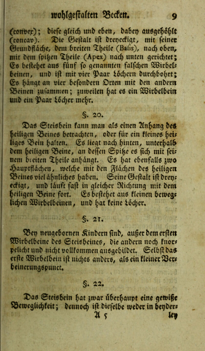 (convejr); tiefe gleich unb eben, habet) attägebbhfC (concav). SDie ©etfalt ifi brepecfigt, mit feinet ©runbfläche/ bern breiten ‘Jh^le (Balis), nach oben, mit bern fpihen ^beile (Apex) nach unten gerichtet; Ge beliebet aus fünf fo genannten fallen SBirbet; beitten, unb ijl mit vier <Paar iöcfyern burd)bobrt; Ge an wer befonbern Orten mit ben atiberti SBeinen jufammen; juweilen hat eö ein SBirbelbeiti unb ein ?>aar iod)er mehr. §. 20* Das ©teisbetn fann man als einen Anhang be$ ^eiligen ^Seines betrachten, ober für ein fletnes hei; liges Q^ein galten. Gs liegt nach h*nten, unterhalb bcm heiligen Q3eine^ an bejfen @pifee es (Ich mit fei; nem bi eiten ein^dngt. Gs ha* ebenfalls $wo j Jpauptflächen, welche mit ben glasen bes heiligen ©einee viel ähnliches haben. ©eine ©efiait i(T bret); eefigt, unb läuft faft in gleicher Dichtung mit betn ^eiligen ^eine fort. Gs begehet aus fleinen beweg; liehen 2Birbelbeinen, unb hat feine iocher* §« 21* 35et) neuge6ornen £inbern jutb, au£er bern erflett SBSirbelbeine bes ©teisbeines, bie anbern noch fnoc; pelicht unb nicht vollfonunen aitsgebtlbet. ©elbfl ba$ erfle ®irbelbein ifl uid)ts anbere, als ein Heiner 53er; beinerungspuuet* §♦ 22* Das ©teiebein hat jwar überhaupt eine getvifsc 55eweglichfeir, bennoch ifl biefelbe Weber in herber; 21 f le?