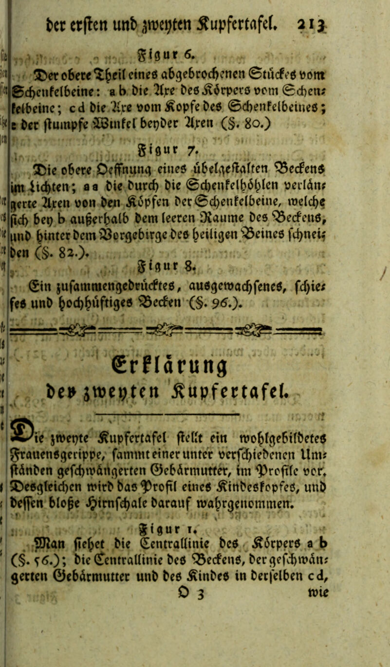 fit - $igur <5. n’B i’n ik ÜE»et o6ere ^ i( eineö abgebrochenen Stucfeö ootn Sd)cnfelbeine: ab Die 2(pe beöÄdrpevöoem©eben? fei b eine; cd Die Kve vomÄopfebe$ ©cbenfelbetueö; e Der jtumpfe JBtnfrf bepber '2(ren (§. 80.) 3Uur 7* ®ic obere beffnung eines übelgeftalten Q3e<fen$ im iid)ten; aa bie burd) bie ©d)enfelböl)(en oeildtu !* gme 2ljccn von ben Äöpfen bec©d)enfelbeine, welche »1 jicf) bet) b außerhalb bem leeren DSaume Des 33e<feu6, unb hinter bem23orgcbtrgebee heiligen ‘Öeineö fd>netf :{Den (§. 82-> 1 8tgur 8. Sin jufammengebrueftes, auögewadjfeneS, fdjie? fe$ unb hocbbllftt9eö 33e<fen (§. 96.)* Srflarung 1 j^epten ßupfmafef. » Jt^ie jroepte Äupfertafel fteKt ein wohlgebilbetes Jrauensgerippe, fatnmt einer unter oerfchiebcncn Um? ftdnben gefcbwdngerten ©ebdrmutter, im Profile ocr; < ^Desgleichen wirb bas profil eine« Äinbeöfopfeö, unb { beffen blofje Jjpimfchale barauf wahrgenommen, t ' ;v : :a‘.   .** ™ ‘ gtgur 1. [ SKan flehet bie Sentrallinie bc$ £6rper$ a b (§•{£•); bie Ctentrallinie bes ‘SetfenS, bergefcbwdn? getten ©ebdrmutter unb bes Äinbes in berfelben cd, 0 3 wie