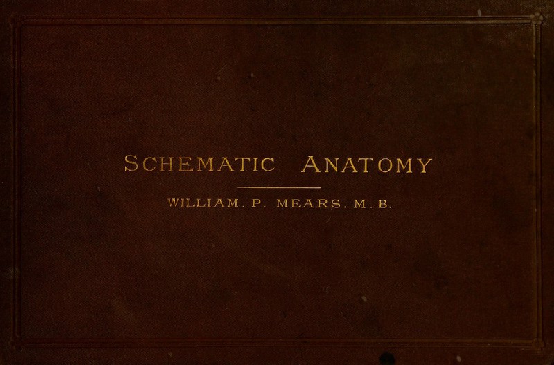 e r K > O • Hematic Anatomy WILLIAM. P. MEARS. M. B.