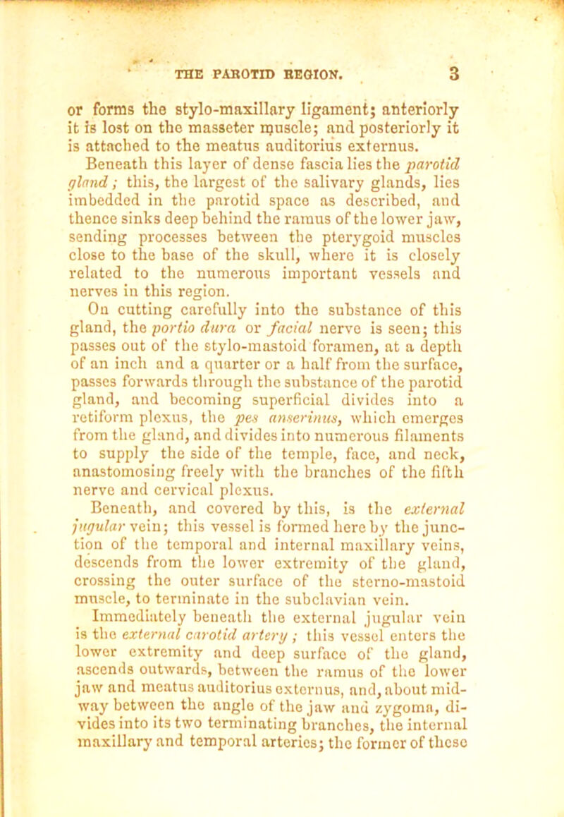 or forms the stylo-maxillary ligament; anteriorly it is lost on the masseter muscle; and posteriorly it is attached to the meatus auditorius externus. Beneath this layer of dense fascia lies the parotid gland ; this, the largest of the salivary glands, lies imbedded in the parotid space as described, and thence sinks deep behind the ramus of the lower jaw, sending processes between the pterygoid muscles close to the base of the skull, where it is closely related to the numerous important vessels and nerves in this region. On cutting carefully into the substance of this gland, the portio dura or facial nerve is seen; this passes out of the stylo-mastoid foramen, at a depth of an inch and a cpiarter or a half from the surface, passes forwards through the substance of the parotid gland, and becoming superficial divides into a retiform plexus, the pcs amerinus, which emerges from the gland, and divides into numerous filaments to supply the side of the temple, face, and neck, anastomosing freely with the branches of the fifth nerve and cervical plexus. Beneath, and covered by this, is the external jugular vein; this vessel is formed hereby the junc- tion of the temporal and internal maxillary veins, descends from the lower extremity of the gland, crossing the outer surface of the sterno-mastoid muscle, to terminate in the subclavian vein. Immediately beneath the external jugular vein is the external carotid artery ; this vessel enters the lower extremity and deep surface of the gland, ascends outwards, between the ramus of the lower jaw and meatus auditorius externus, and, about mid- way between the angle of the jaw and zygoma, di- vides into its two terminating branches, the internal maxillary and temporal arteries; the former of these