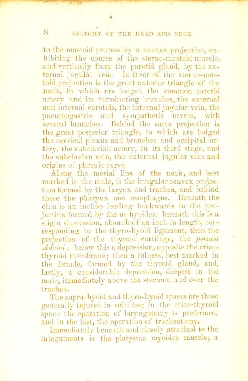 s to the mastoid process by a convex projection, ex- hibiting the course of the sterno-mastoid muscle, and vertically from the parotid gland, by the ex- ternal jugular vein. In front of the sterno-mas- toid projection is the great anterior triangle of the neck, in which are lodged the common carotid artery and its terminating branches, the external and internal carotids, the internal jugular vein, the pneumogastric and sympathetic nerves, with several branches. Behind the same projection is the great posterior triangle, in which are lodged the cervical plexus and branches and occipital ar- tery, the subclavian artery', in its third stage, and the subclavian vein, the external jugular vein and origins of phrenic nerve. Along the mesial line of the neck, and best marked in the male, is the irregular convex projec- tion formed by the larynx and trachea, and behind these the pharynx and oesophagus. Beneath the chin is an incline leading backwards to the pro- jection formed by the os hyoides; beneath this is a slight depression, about half an inch in length, cor- responding to the thyro-hyoid ligament, then the projection of the thyroid cartilage, the pomum Adami; below this a depression, opposite the crico- thyroid membrane; then a fulness, best marked in the female, formed by the thyroid gland, and, lastly, a considerable depression, deepest in the male, immediately above the sternum and over the trachea. The supra-hyoid nnd thyro-hyoid spaces are those generally injured in suicides; in the crico-thyroid space the operation of laryngotomy is performed, and in the last, the operation of tracheotomy. Immediately beneath and closely attached to the integuments is the platysma ntyoides muscle; a