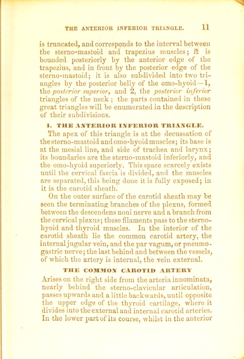 is truncated, and corresponds to the interval between the sterno-mastoid and trapezius muscles; it is bounded posteriorly by the anterior edge of the trapezius, and in front by the posterior edge of the sterno-mastoid; it is also subdivided into two tri- angles by the posterior belly of the omo-hyoid—1, the posterior superior, and 2, the posterior inferior triangles of the neck ; the parts contained in these great triangles will be enumerated in the description of their subdivisions. 1. TUB A.VTEKIOR INFERIOR TRIANGLE. The apex of this triangle is at the decussation of the sterno-mastoid and omo-hyoid muscles; its base is at the mesial line, and side of trachea and larynx; its boundaries are the sterno-mastoid interiorly, and the omo-hyoid superiorly. This space scarcely exists until the cervical fascia is divided, and the muscles are separated, this being done it is fully exposed; in it is the carotid sheath. On the outer surface of the carotid sheath may be seen the terminating branches of the plexus, formed between the descendens noni nerve and a branch from the cervical plexus; these filaments pass to the sterno- hyoid and thyroid muscles. In the interior of the carotid sheath lie the common carotid artery, the internal jugular vein, and the par vagum, or pneumo- gastric nerve; the last behind and between the vessels, of which the artery is internal, the vein external. THE COMMON CAROTID ARTEltV Arises on the right side from the arteria innominata, nearly behind the sterno-clavicular articulation, passes upwards and a little backwards, until opposite the upper edge of the thyroid cartilage, where it divides into the external and internal carotid arteries. In the lower part of its course, whilst in the anterior