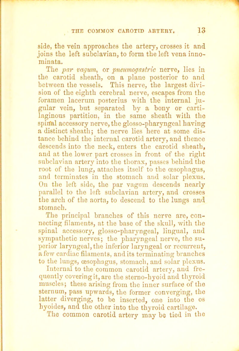 side, the vein approaches the artery, crosses it and joins the left subclavian, to form the left vena inno- minata. The par vagum, or pneumogastric nerve, lies in the carotid sheath, on a plane posterior to and between the vessels. This nerve, the largest divi- sion of the eighth cerebral nerve, escapes from the foramen lacerum posterius with the internal ju- gular vein, but separated by a bony or carti- laginous partition, in the same sheath with the spinal accessory nerve, the glosso-pharyngeal having a distinct sheath; the nerve lies here at some dis- tance behind the internal carotid artery, and thence descends into the neck, enters the carotid sheath, and at the lower part crosses in front of the right subclavian artery into the thorax, passes behind the root of the lung, attaches itself to the oesophagus, and terminates in the stomach and solar plexus. On the left side, the par vagum descends nearly parallel to the left subclavian artery, and crosses the arch of the aorta, to descend to the lungs and stomach. The principal branches of this nerve are, con- necting filaments, at the base of the skull, with the spinal accessory, glosso-pharyngeal, lingual, and sympathetic nerves; the pharyngeal nerve, the su- perior laryngeal, the inferior laryngeal or recurrent, afew cardiac filaments, andits terminating branches to the lungs, cesophagus, stomach, and solar plexus. Internal to the common carotid artery, and fre- quently covering it, are the sterno-liyoid and thyroid muscles; these arising from the inner surface of the sternum, pass upwards, the former converging, the latter diverging, to be inserted, one into the os hyoides, and the other into the thyroid cartilage. The common carotid artery may be tied in the