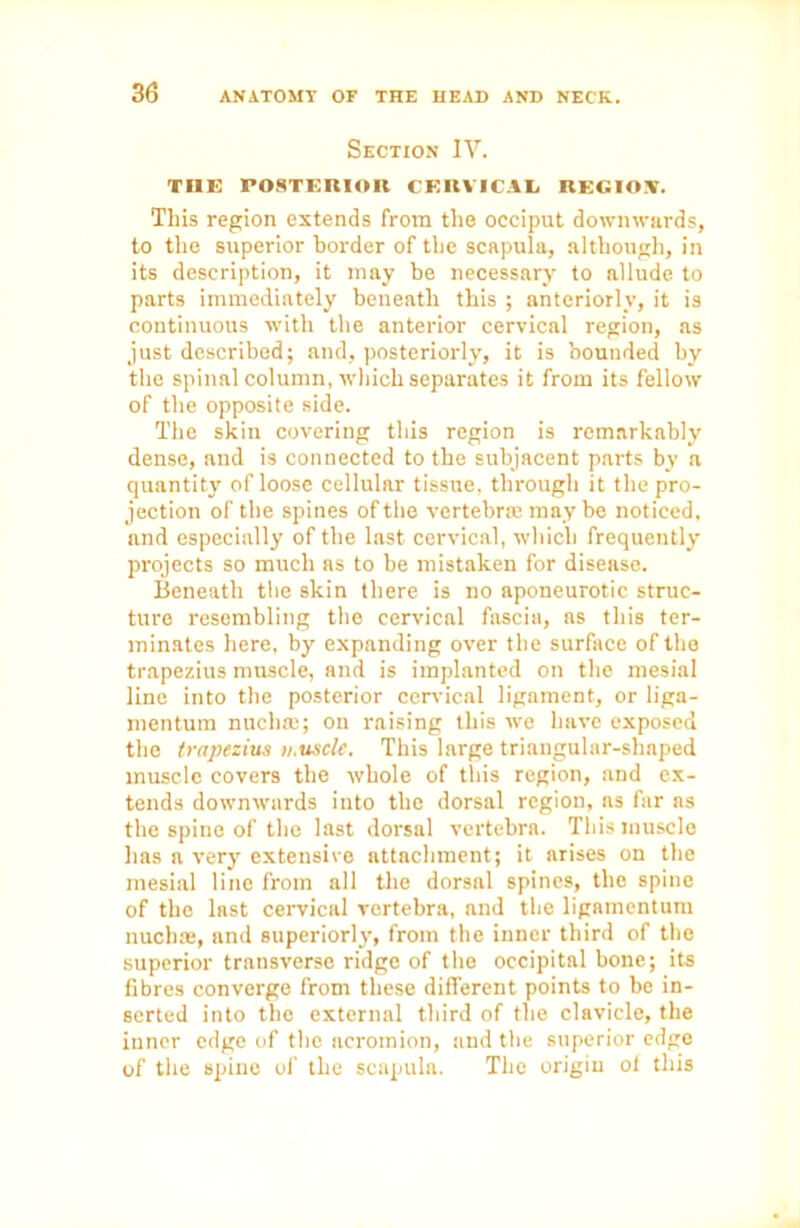 Section IY. THE POSTERIOR CERVICAL REGION. Tins region extends from the occiput downwards, to the superior border of the scapula, although, in its description, it may be necessary to allude to parts immediately beneath this ; anteriorly, it is continuous with the anterior cervical region, as just described; and, posteriorly, it is bounded by the spinal column, which separates it from its fellow of the opposite side. The skin covering this region is remarkably dense, and is connected to the subjacent parts by a quantity of loose cellular tissue, through it the pro- jection of the spines of the vertebra: may be noticed, and especially of the last cervical, which frequently projects so much as to be mistaken for disease. Beneath the skin there is no aponeurotic struc- ture resembling the cervical fascia, as this ter- minates here, by expanding over the surface of the trapezius muscle, and is implanted on the mesial line into the posterior cervical ligament, or liga- mentum nucha;; on raising this we have exposed the trapezius i/.uscle. This large triangular-shaped muscle covers the whole of this region, and ex- tends downwards into the dorsal region, as far as the spine of the last dorsal vertebra. Thisinuscle has a very extensive attachment; it arises on the mesial line from all the dorsal spines, the spine of the last cervical vertebra, and the ligamentum nucha;, and superiorly, from the inner third of the superior transverse ridge of the occipital bone; its fibres converge from these different points to be in- serted into the external third of the clavicle, the inner edge of the acromion, and the superior edge of the spine of the scapula. The origin of this