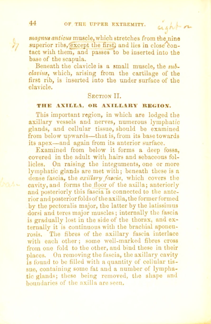 L 7 Ci. i /\J- mngnus anticus muscle, which stretches from the nine superior ribs^xcept the first} ami lies in close^on- tact with them, and passes' to be inserted into the base of the scapula. Beneath the clavicle is a small muscle, the sub- clavius, which, arising from the cartilage of the first rib, is inserted into the under surface of the clavicle. Section II. TIIK AXILLA, Oil AXILLARY IlEUOY. This important region, in which are lodged the axillary vessels and nerves, numerous lymphatic glands, and cellular tissue, should be examined from below upwards—that is, from its base towards its apex—aud again from its anterior surface. Examined from below it forms a deep fossa, covered in the adult with hairs and sebaceous fol- licles. On raising the integuments, one or more lymphatic glnnds are met with; beneath these is a dense fascia, the axillary fascia, which covers the cavity, and forms the floor of the axilla; anteriorly and posteriorly this fascia is connected to the ante- rior and posterior folds of the axilla, the former formed by the pectoralis major, the latter by the latissiraus dorsi and teres major muscles; internally the fascia is gradually lost in the side of the thorax, and ex- ternally it is continuous with the brachial aponeu- rosis. The fibres of the axillary fascia interlace with each other; some well-marked fibres cross from one fold to the other, and bind these in their places. On removing the fascia, the axillary cavity Is found to be filled with a quantity of cellular tis- sue, containing some fat and a number of lympha- tic glands; these being removed, the shape and boundaries of the axilla are seen. n-
