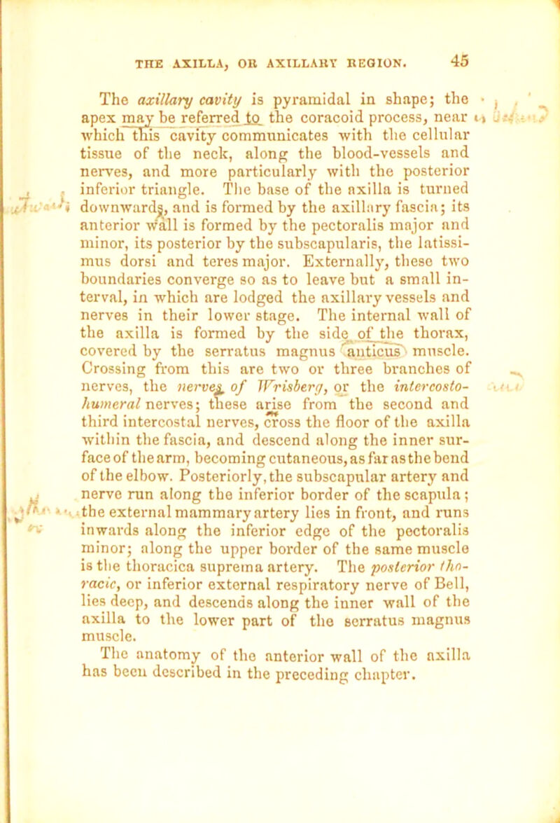 1 THE AXILLA, OB AXILLARY REGION. 45 A ,Xu n- The axillary cavity is pyramidal in shape; the • t apex may be referred to. the coracoid process, near <> . - which~tms cavity communicates with the cellular tissue of the neck, along the blood-vessels and nerves, and more particularly with the posterior inferior triangle. The base of the axilla is turned downward^, and is formed by the axillary fascia; its anterior w'all is formed by the pectoralis major and minor, its posterior by the subscapularis, the latissi- mus dorsi and teres major. Externally, these two boundaries converge so as to leave but a small in- terval, in which are lodged the axillary vessels and nerves in their lower stage. The internal wall of the axilla is formed by the side of the thorax, covered by the serratus magnus anticus muscle. Crossing from this are two or three branches of nerves, the nerves of Wrisberg, or the intercosto- humeral nerves; these arise from the second and third intercostal nerves, cross the floor of the axilla within the fascia, and descend along the inner sur- face of the arm, becoming cutaneous, as far as the bend of the elbow. Posteriorly, the subscapular artery and nerve run along the inferior border of the scapula; the external mammary artery lies in front, and runs inwards along the inferior edge of the pectoralis minor; along the upper border of the same muscle is the thoracica suprema artery. The posterior tho- racic, or inferior external respiratory nerve of Bell, lies deep, and descends along the inner wall of the axilla to the lower part of the serratus magnus muscle. The anatomy of the anterior wall of the axilla has been described in the preceding chapter.