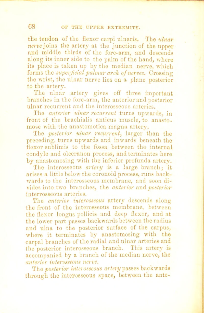 the tendon of the flexor carpi ulnnris. The ulnar nerve joins the artery at the junction of the upper and middle thirds of the fore-arm, and descends along its inner side to the palm of the hand, where its place is taken up by the median nerve, which forms the superficial palmar arch of nerves. Crossing the wrist, the ulnar nerve lies on a plane posterior to the artery. The ulnar artery gives off three important branches in the fore-arm, the anterior and posterior ulnar recurrent and the interosseous arteries. The anterior ulnar recurrent turns upwards, in front of the brachialis anticus muscle, to anasto- mose with the atiastomotica magna artery. The posterior ulnar recurrent, larger than the preceding, turns upwards and inwards beneath the flexor sublimis to the fossa between the internal condyle and olecranon process, and terminates here by anastomosing with the inferior profunda artery. The interosseous artery is a large branch; it arises a little below the coronoid process, runs baek- rvards to the interosseous membrane, and soon di- vides into two branches, the anterior and posterior interrosseous arteries. The anterior interosseous artery descends along the front of the interosseous membrane, between the flexor longus pollicis and deep flexor, and at the lower part passes backwards between the radius and ulna to the posterior surface of the carpus, where it terminates by anastomosing with the carpal branches of tire radial and ulnar arteries and the posterior interosseous branch. This artery is accompanied by a branch of the median nerve, the anterior interosseous na ve. The posterior interosseous artery passes backwards through the interosseous space, between the ante-