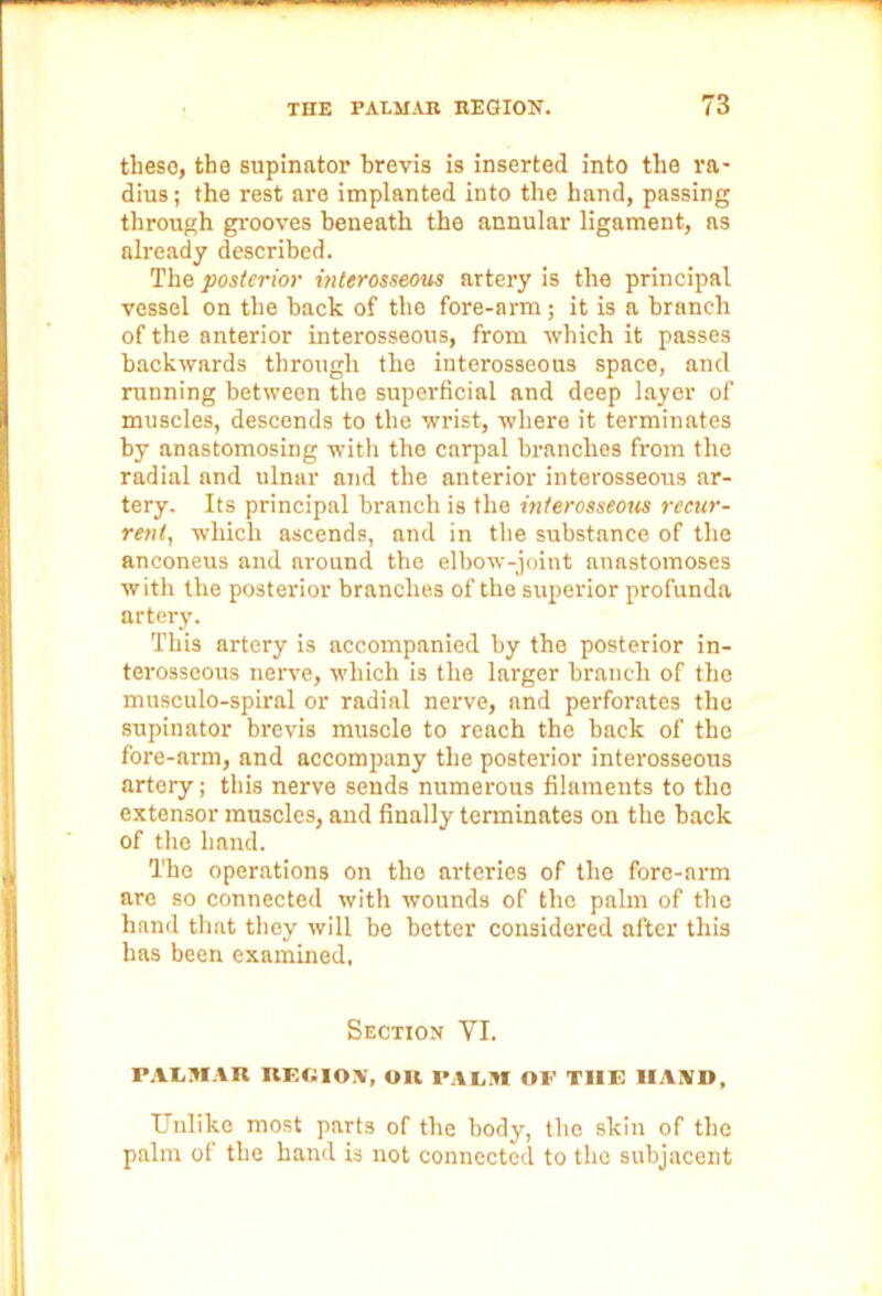 these, the supinator brevis is inserted into the ra- dius; the rest are implanted into the hand, passing through grooves beneath the annular ligament, as already described. The posterior interosseous artery is the principal vessel on the hack of the fore-arm; it is a branch of the anterior interosseous, from which it passes backwards through the interosseous space, and running between the superficial and deep layer of muscles, descends to the wrist, where it terminates by anastomosing with the carpal branches from the radial and ulnar and the anterior interosseous ar- tery. Its principal branch is the interosseous recur- rent, which ascends, and in the substance of the anconeus and around the elbow-joint anastomoses with the posterior branches of the superior profunda artery. This artery is accompanied by the posterior in- terosseous nerve, which is the larger branch of the musculo-spiral or radial nerve, and perforates the supinator brevis muscle to reach the back of the fore-arm, and accompany the posterior interosseous artery; this nerve sends numerous filaments to the extensor muscles, and finally terminates on the back of the hand. The operations on the arteries of the fore-arm are so connected with wounds of the palm of the hand that they will be better considered after this has been examined, Section YI. PALMAR REGION, OR PALM OP THE HAND, Unlike most parts of the body, the skin of the palm of the hand is not connected to the subjacent