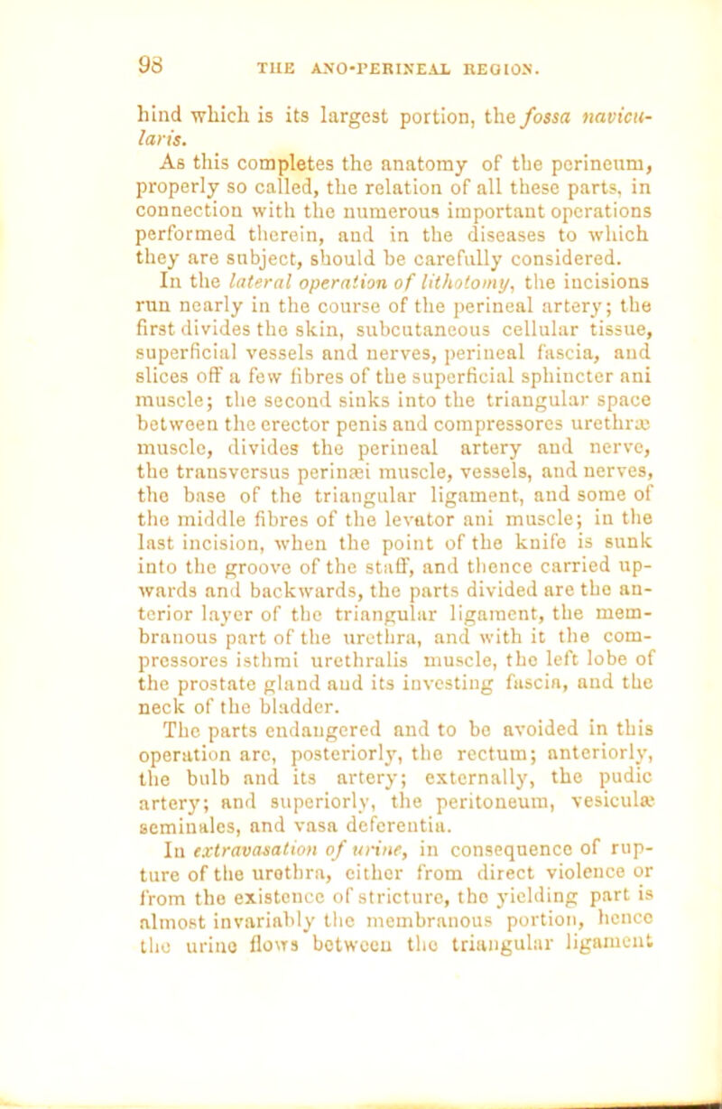 hind which is its largest portion, the fossa navicu- laris. As this completes the anatomy of the perineum, properly so called, the relation of all these parts, in connection with the numerous important operations performed therein, and in the diseases to which they are subject, should be carefully considered. In the lateral operation of lithotomy, the incisions run nearly in the course of the perineal artery; the first divides the skin, subcutaneous cellular tissue, superficial vessels and nerves, perineal fascia, and slices off a few fibres of the superficial sphincter ani muscle; the second sinks into the triangular space between the erector penis and compressores urethrae muscle, divides the perineal artery and nerve, the transversus perintei muscle, vessels, and nerves, the base of the triangular ligament, and some of the middle fibres of the levator ani muscle; in the last incision, when the point of the knife is sunk into the groove of the staff, and thence carried up- wards and backwards, the parts divided are the an- terior layer of the triangular ligament, the mem- branous part of the urethra, and with it the com- pressores isthmi uretliralis muscle, the left lobe of the prostate gland and its investing fascin, and the neck of the bladder. The parts endangered and to be avoided in this operation are, posteriorly, the rectum; anteriorly, the bulb and its artery; externally, the pudic artery; and superiorly, the peritoneum, vesiculw scminsiles, and vasa deferentia. In extravasation of urine, in consequence of rup- ture of the urethra, cither from direct violence or from the existence of stricture, the yielding part is almost invariably the membranous portion, hence the urine flows between the triangular ligament