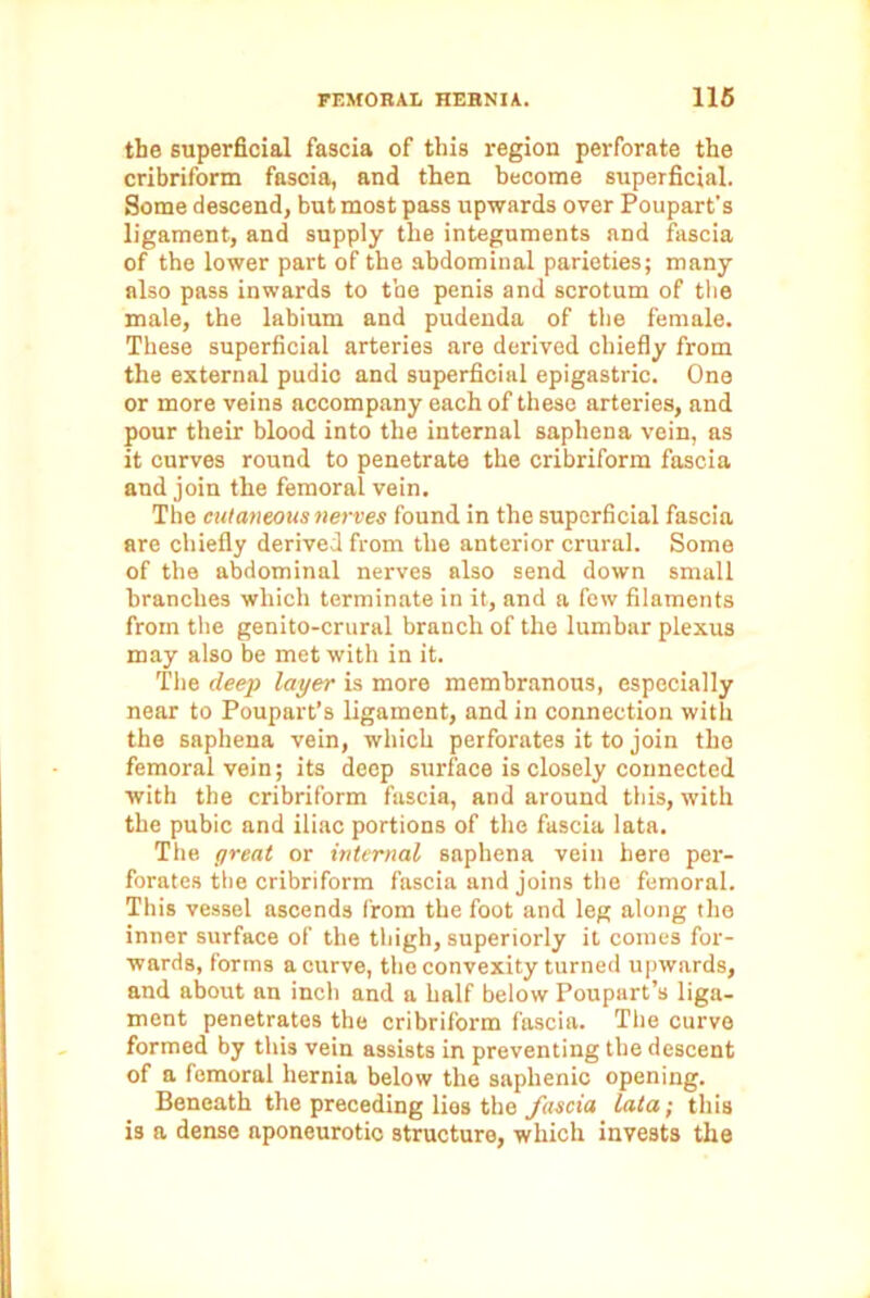 the superficial fascia of this region perforate the cribriform fascia, and then become superficial. Some descend, but most pass upwards over Poupart’s ligament, and supply the integuments and fascia of the lower part of the abdominal parieties; many also pass inwards to the penis and scrotum of the male, the labium and pudenda of the female. These superficial arteries are derived chiefly from the external pudic and superficial epigastric. One or more veins accompany each of these arteries, and pour their blood into the internal saphena vein, as it curves round to penetrate the cribriform fascia and join the femoral vein. The cutaneous nerves found in the superficial fascia are chiefly derived from the anterior crural. Some of the abdominal nerves also send down small branches which terminate in it, and a few filaments from the genito-crural branch of the lumbar plexus may also be met with in it. The deep layer is more membranous, especially near to Poupart’s ligament, and in connection with the saphena vein, which perforates it to join the femoral vein; its deep surface is closely connected with the cribriform fascia, and around this, with the pubic and iliac portions of the fascia lata. The great or internal saphena vein here per- forates the cribriform fascia and joins the femoral. This vessel ascends from the foot and leg along the inner surface of the thigh, superiorly it comes for- wards, forms a curve, the convexity turned upwards, and about an inch and a half below Poupart’s liga- ment penetrates the cribriform fascia. The curve formed by this vein assists in preventing the descent of a femoral hernia below the saplrenic opening. Beneath the preceding lies the fascia lata; this is a dense nponeurotic structure, which invests the