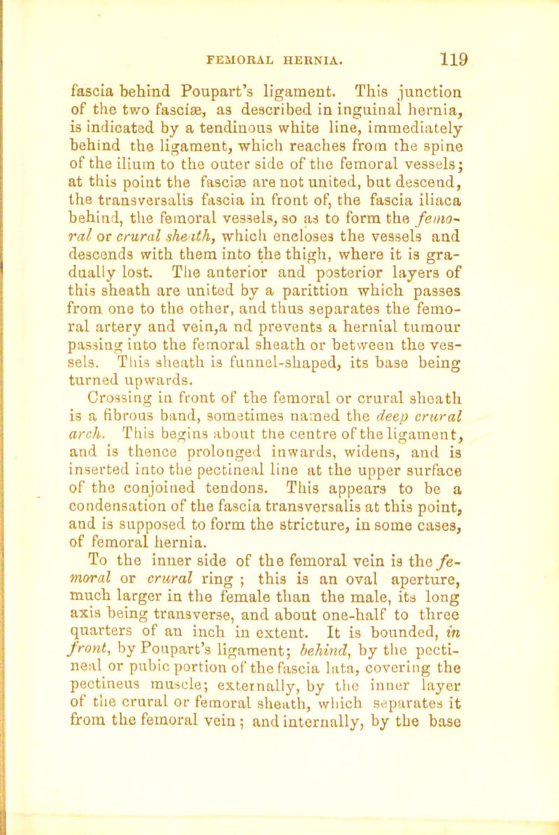 fascia behind Poupart’s ligament. This junction of the two fasciae, as described in inguinal hernia, is indicated by a tendinous white line, immediately behind the ligament, which reaches from the spine of the ilium to the outer side of the femoral vessels; at this point the fasciae are not united, but descend, the transversalis fascia in front of, the fascia iliaca behind, the femoral vessels, so as to form the femo- ral or crural sheilh, which encloses the vessels and descends with them into the thigh, where it is gra- dually lost. The anterior and posterior layers of this sheath are united by a parittion which passes from one to the other, and thus separates the femo- ral artery and vein,a nd prevents a hernial tumour passing into the femoral sheath or between the ves- sels. This sheath is funnel-shaped, its base being turned upwards. Crossing in front of the femoral or crural sheath is a fibrous band, sometimes named the deep crural arch. This begins about the centre of the ligament, and is thence prolonged inwards, widens, and is inserted into the pectineal line at the upper surface of the conjoined tendons. This appears to be a condensation of the fascia transversalis at this point, and is supposed to form the stricture, in some cases, of femoral hernia. To the inner side of the femoral vein is the fe- moral or crural ring ; this is an oval aperture, much larger in the female than the male, its long axis being transverse, and about one-half to throe quarters of an inch in extent. It is bounded, in front, by Poupart’s ligament; behind, by the pecti- neal or pubic portion of the fascia lata, covering the pectineus muscle; externally, by the inner layer of the crural or femoral sheath, which separates it from the femoral vein ; and internally, by the base