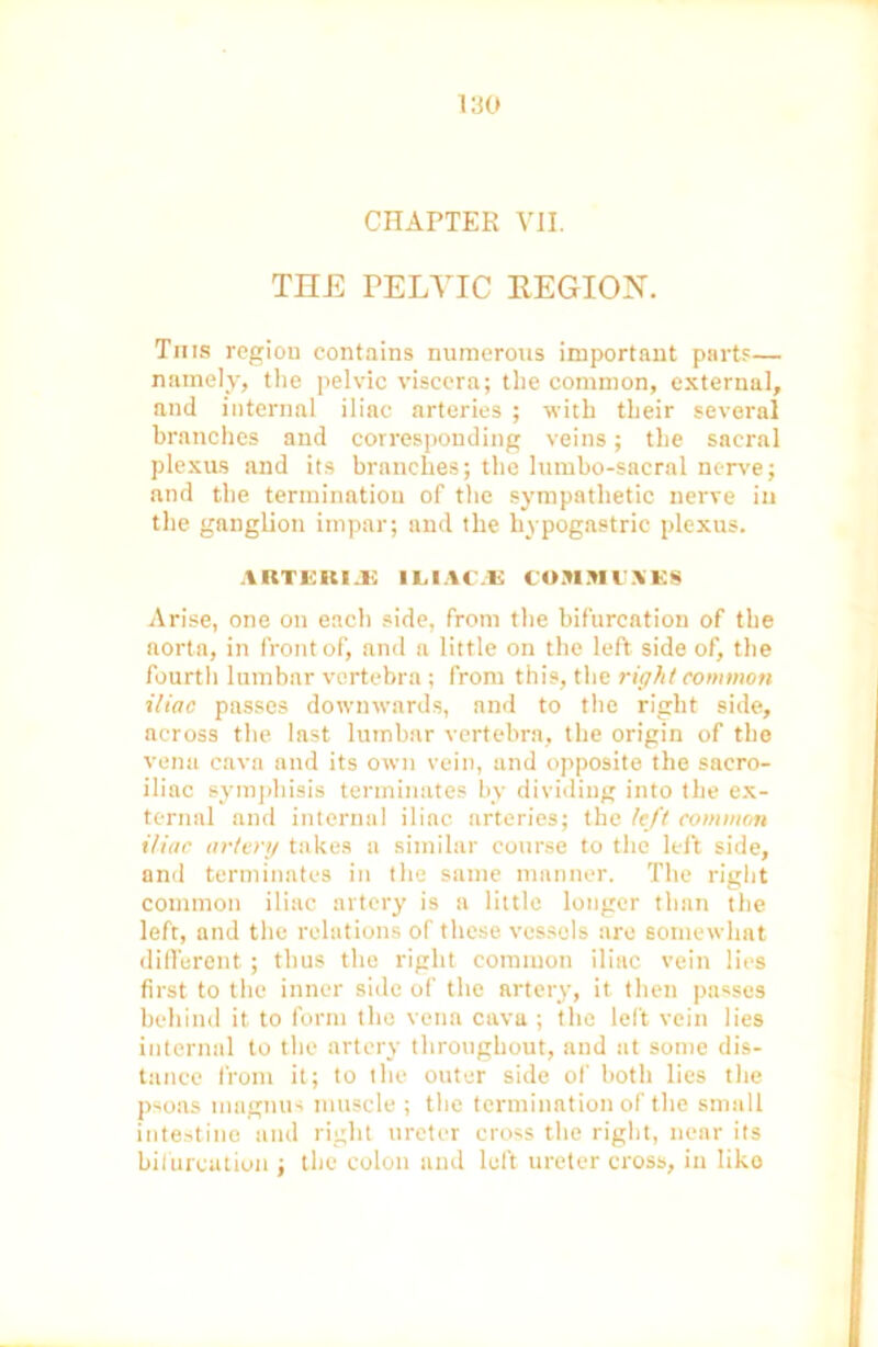 CHAPTER VII. THE PELVIC REGION. Tnis region contains numerous important parts— namely, the pelvic viscera; the common, external, and internal iliac arteries ; with their several branches and corresponding veins; the sacral plexus and its branches; the lmubo-sacral nerve; and the termination of the sympathetic nerve in the ganglion impar; and the hypogastric plexus. AUTERIJi ILIAC.E COMM VRIES Arise, one on each side, from the bifurcation of the aorta, in front of, and a little on the left side of, the fourth lumbar vertebra ; from this, the right common iliac passes downwards, and to the right side, across the last lumbar vertebra, the origin of the vena cava and its own vein, and opposite the sacro- iliac symphisis terminates by dividing into the ex- ternal and internal iliac arteries; the left common iliac artery takes a similar course to the left side, and terminates in the same manner. The right common iliac artery is a little longer than the left, and the relations of these vessels are somewhat different; thus the right common iliac vein lies first to the inner side of the artery, it then passes behind it to form the vena cava ; the left vein lies internal to the artery throughout, and at some dis- tance from it; to the outer side of both lies the psoas mngnus muscle ; the termination of the small intestine and right ureter cross the right, near its bifurcation ; the colon and loft ureter cross, in liko