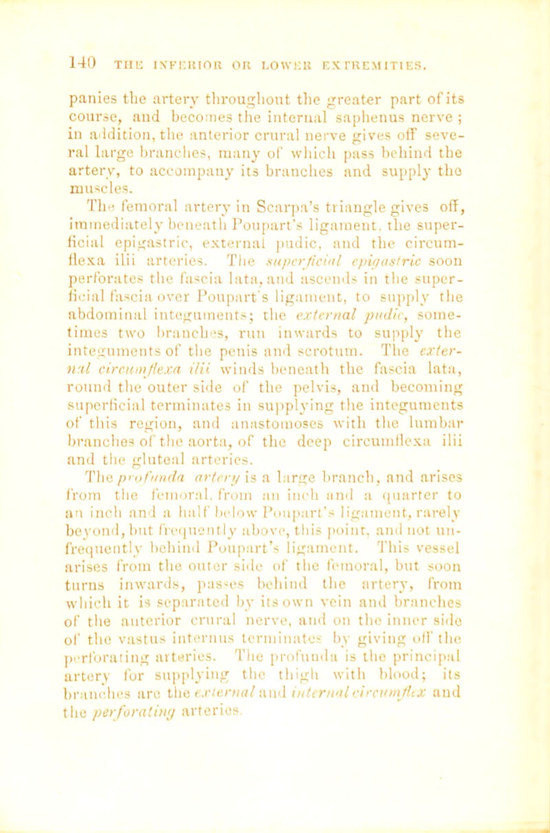 panies the artery throughout the greater part of its course, and becomes the internal saphenus nerve ; in addition, the anterior crural nerve gives off seve- ral large branches, many of which pass behind the artery, to accompany its branches and supply the muscles. The femoral artery in Scarpa’s triangle gives off, immediately beneath Poupart’s ligament, the super- ficial epigastric, external pudic, and the circum- flexa ilii arteries. The superficial epigastric soon perforates the fascia lata,and ascends in the super- ficial fascia over Poupart’s ligament, to supply the abdominal integuments; the external piulic, some- times two branches, run inwards to supply the integuments of the penis and scrotum. The exter- nal circumfiexa ilii winds beneath the fascia lata, round the outer side of the pelvis, and becoming superficial terminates in supplying the integuments of this region, and anastomoses with the lumbar branches of the aorta, of the deep circumfiexa ilii and the gluteal arteries. The profunda artery is a large branch, and arises from the femoral, from an inch and a quarter to an inch and a half below Poupart’s ligament, rarely beyond, but frequently above, this point, and not tin- frequently behind Poupart’s ligament. This vessel arises from the outer side of the femoral, but soon turns inwards, passes behind the artery, from which it is separated by its own vein and branches of the anterior crural nerve, and on the inner side of the vastus interims terminates by giving oil' the perforating arteries. The profunda is the principal artery for supplying the thigh with blood; its branches are the external and internal circumfitx and the perforating arteries