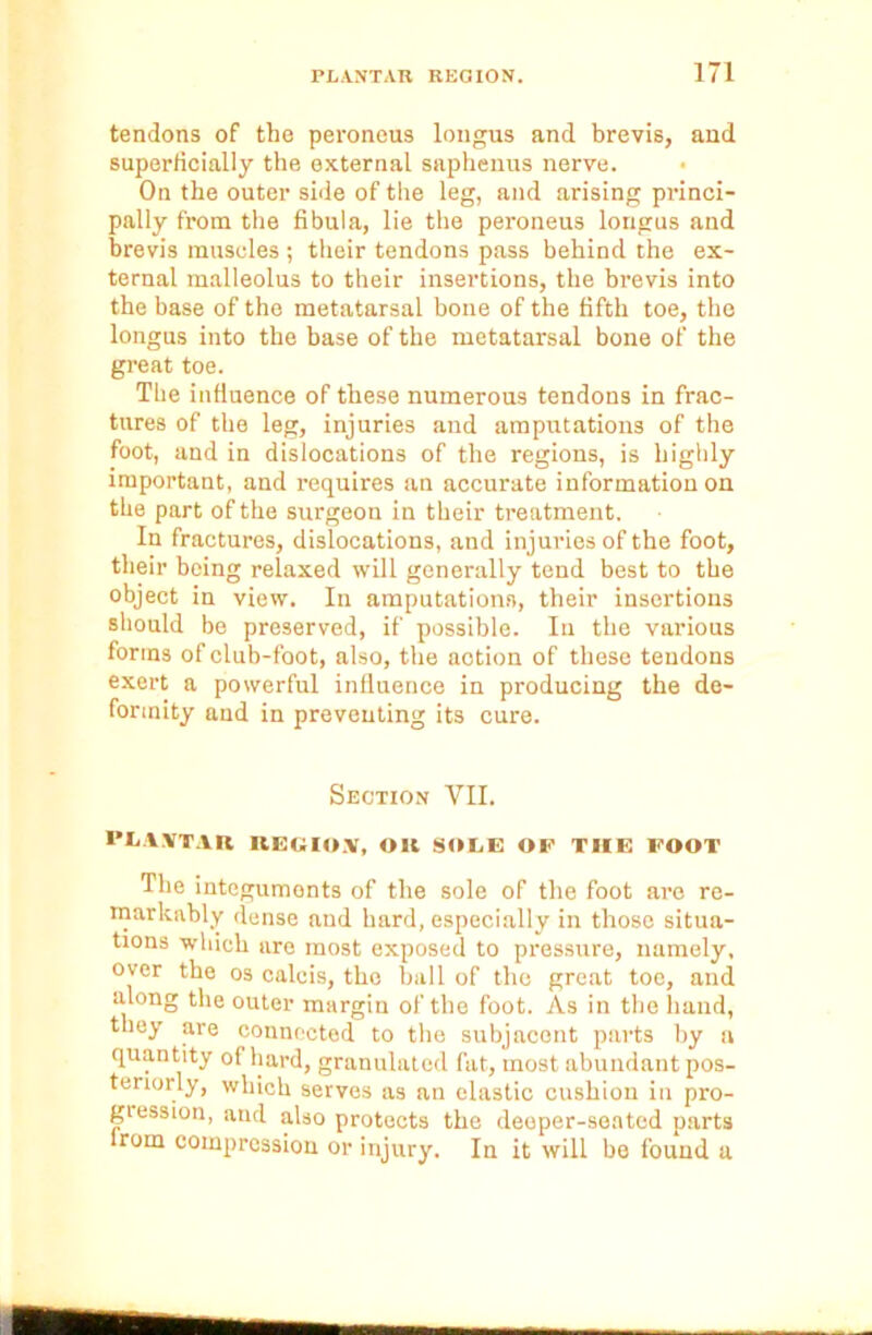 tendons of the peroneus longus and brevis, and superficially the external saphenus nerve. On the outer side of the leg, and arising princi- pally from the fibula, lie the peroneus longus and brevis muscles ; their tendons pass behind the ex- ternal malleolus to their insertions, the brevis into the base of the metatarsal bone of the fifth toe, the longus into the base of the metatarsal bone of the great toe. The influence of these numerous tendons in frac- tures of the leg, injuries and ampittations of the foot, and in dislocations of the regions, is highly important, and requires an accurate information on the part of the surgeon in their treatment. In fractures, dislocations, and injuries of the foot, their being relaxed will generally tend best to the object in view. In amputations, their insertions should be preserved, if possible. In the various forms of club-foot, also, the notion of those tendons exert a powerful influence in producing the de- formity and in preventing its cure. Section VII. PLAVTAIt REGION, OK SOLE OP THE FOOT The integumonts of the sole of the foot are re- markably dense and hard, especially in those situa- tions which are most exposed to pressure, namely, over the os calcis, the ball of the great toe, and along the outer margin of the foot. As in the hand, they are connected to the subjacent parts by a quantity of hard, granulated fat, most abundant pos- teriorly, which serves as an elastic cushion in pro- fession, and also protects the deeper-seated parts rom compression or injury. In it will be found a