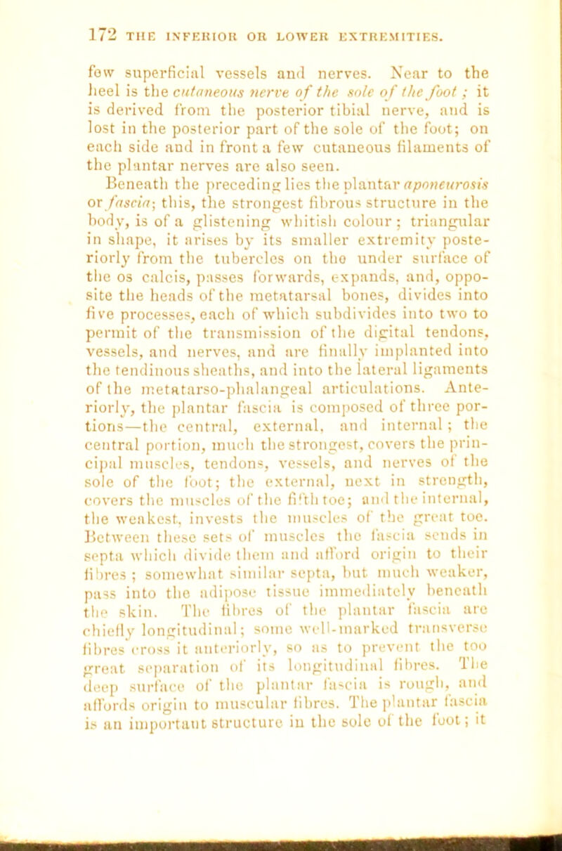 few superficial vessels and nerves. Near to the heel is the cutaneous nerve o f the sole of the foot; it is derived from the posterior tibial nerve, and is lost in the posterior part of the sole of the foot; on each side and in front a few cutaneous filaments of the plantar nerves are also seen. Beneath the preceding lies the plantar aponeurosis or fascia-, this, the strongest fibrous structure in the body, is of a glistening whitish colour ; triangular in shape, it arises by its smaller extremity poste- riorly from the tubercles on tho under surface of tlie os calcis, passes forwards, expands, and, oppo- site the heads of the metatarsal bones, divides into five processes, each of which subdivides into two to permit of the transmission of the digital tendons, vessels, and nerves, and are finally implanted into the tendinous sheaths, and into the lateral ligaments of the metatarso-phalangeal articulations. Ante- riorly, the plantar fascia is composed of three por- tions—the central, external, and internal; the central portion, much the strongest, covers the prin- cipal muscles, tendons, vessels, and nerves of the sole of the foot; the external, next in strength, covers the muscles of the filth toe; and the internal, the weakest, invests the muscles of the great toe. Between these sets of muscles tho fascia sends in septa which divide them and afford origin to their fibres ; somewhat similar septa, but much weaker, pass into the adipose tissue immediately beneath the skin. The fibres of the plantar fascia are chiefly longitudinal; some well-marked transverse fibres cross it anteriorly, so as to prevent the too great separation of its longitudinal fibres. The deep surface of the plantar fascia is rough, and affords origin to muscular fibres. The plantar tascia is an important structure in the sole of the foot; it