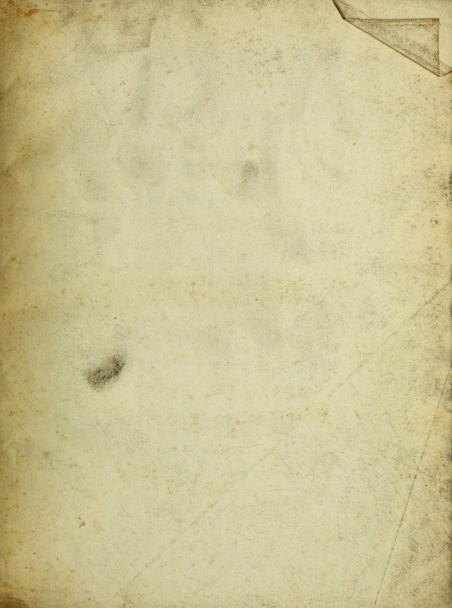 digitised image 3