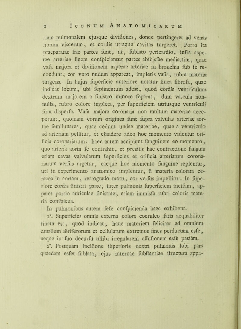 liiim pulmonalem ejusque divifiones, donec pertingeret ad vena^ horum viscerum, et cordis utraque cavitas turgeret. Porro ita praeparatae hae partes funt, ut, fublato pericardio, infra aspe- rae arteriae finem confpiciantur partes abfcisfae mediastini, quae, vafa majora et divifionem asperae arteriae in bronchia fub fe re- condunt; cor vero nudum appareat, impletis vafis, rubra materia turgens. In hujus fuperficie anteriore notatur linea fibrofa, quae indicat locum, ubi fepimentum adest, quod cordis ventriculum dextrum majorem a finistro minore feparat, dum vascula non- nulla, rubro colore iinpleta, per fuperficiem utriusque ventriculi funt disperfa. Vafa majora coronaria non multum materiae acce- perunt , quoniam eorum origines funt fupra valvulas arteriae aor- tae femilunares, quae cedunt undae materiae, quae a ventriculo ad arteriam pellitur, et claudere adeo hoc momento videntur ori- ficia coronariarum; haec autem accipiunt fanguinem eo momento, quo arteria aorta fe contrahit, et presfus hac contractione fanguis etiam cavas valvularum fuperficies et orificia arteriarum corona- riarum verfus urgetur, eaeque hoc momento fanguine replentur, uti in experimento anatomico implentur, fi materia colorata ce- racea in aortam, retrogrado motu, cor verfus impellitur. In fupe- riore cordis finistri paite, inter pulmonis fuperficiem incifam, ap- paret portio auriculae finistrae, etiam immisfa rubri coloris mate- ria confpicua. In pulmonibus autem fefe confpicienda haec exhibent. 1°. Superficies omnis externa colore coeruleo fatis aequabiliter tincta est, quod indicat, hanc materiem feliciter ad omnium canalium aeriferorum et cellularum extremos fines perductam esfe, neque in fuo decurfii ullibi irregularem effufionem esfe pasfam. 2°. Postquam incifione fuperioris dextri pulmonis lobi pars quaedam esfet fublata, ejus internae fubftanciae ftructura appa-