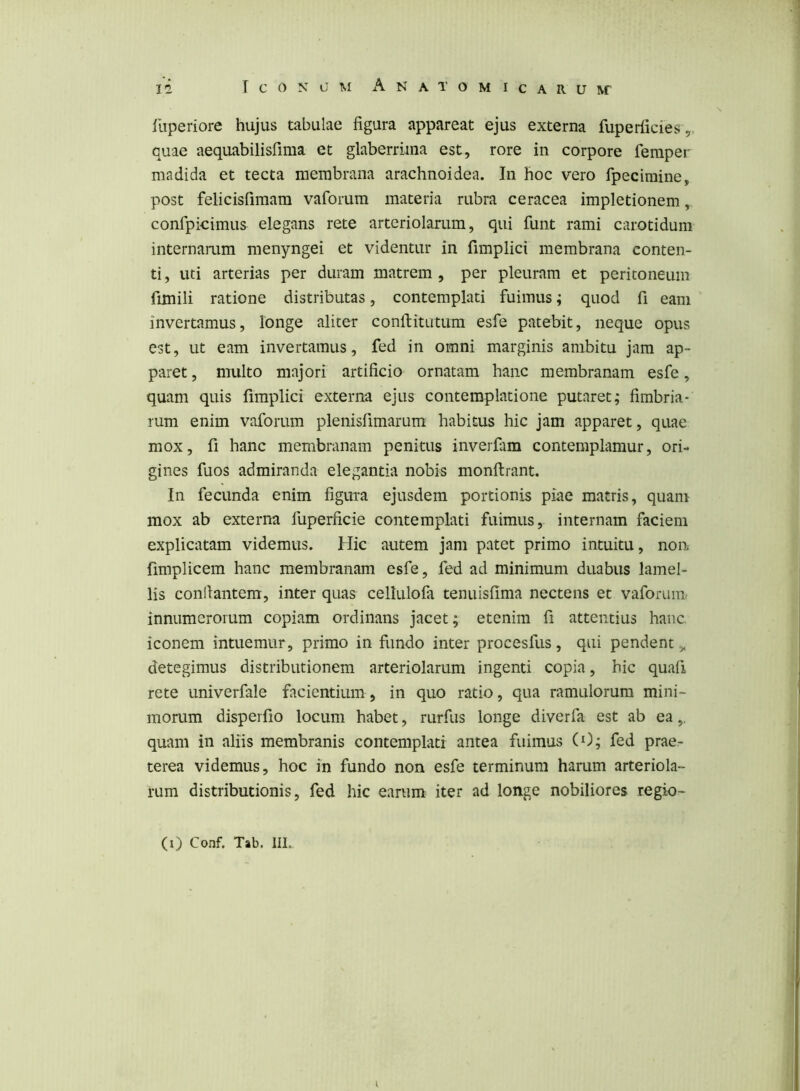 faperiore hujus tabulae figura appareat ejus externa fuperficies, quae aequabilisfima et glaberrima est, rore in corpore femper madida et tecta membrana arachnoidea. In hoc vero fpecimine, post felicisfimam vaforura materia rubra ceracea impletionem, confpieimus elegans rete arteriolarum, qui funt rami carotidum internamm menyngei et videntur in fimplici membrana conten- ti , uti arterias per duram matrem , per pleuram et periconeuin fimili ratione distributas, contemplati fuimus; quod fi eam invertamus, longe aliter conllitutum esfe patebit, neque opus est, ut eam invertamus, fed in omni marginis ambitu jam ap- paret , multo majori artificio ornatam hanc membranam esfe, quam quis fimplici externa ejus contemplatione putaret; fimbria- rum enim vaforum plenisfimarum habitus hic jam apparet, quae mox, fi hanc membranam penitus inverfiim contemplamur, ori- gines fuos admiranda elegantia nobis monftrant. In fecunda enim figura ejusdem portionis piae matris, quam mox ab externa fuperficie contemplati fuimus, internam faciem explicatam videmus. Hic autem jam patet primo intuitu, non fimplicem hanc membranam esfe, fed ad minimum duabus lamel- lis conllantem, inter quas cellulofii tenuisfima nectens et vaforum innumerorum copiam ordinans jacet; etenim fi attentius hanc, iconem intuemur, primo in fundo inter procesfus, qui pendent ,< detegimus distributionem arteriolarum ingenti copia, hic quafi rete univerfale facientium, in quo ratio, qua ramulorum mini- morum disperfio locum habet, rurfus longe diverfa est ab ea,, quam in aliis membranis contemplati antea fuimus (O; fed prae- terea videmus, hoc in fundo non esfe terminum harum arteriola- rum distributionis, fed hic earum iter ad longe nobiliores regio- (i) Conf. Tab. III. i