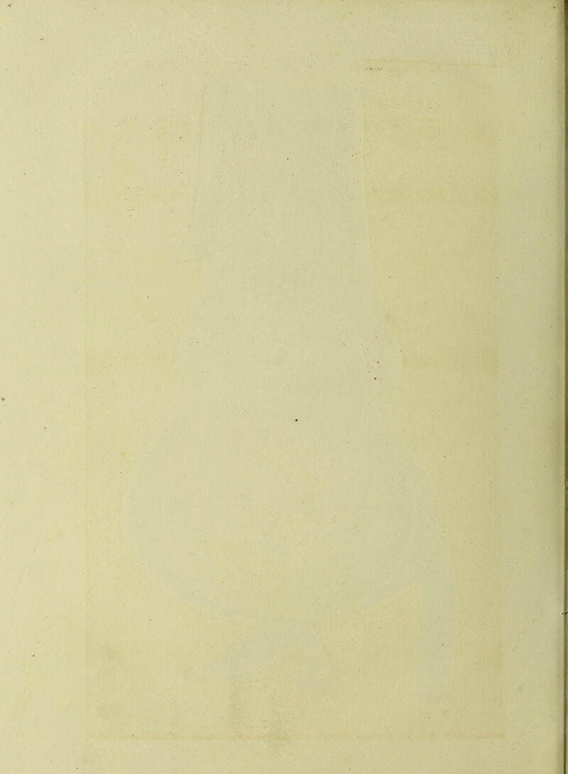 ■A ‘ i: . ,V: f • i V »1 h-' t w* •* /i V »♦ fn i •/; / /.,i'} Tf 4