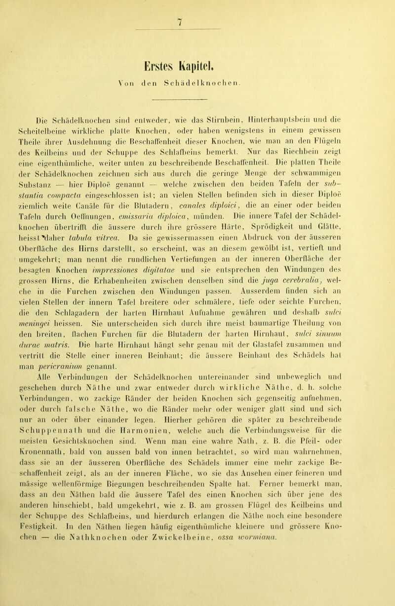 Erstes Kapitel. Von (1 o n Schädelknochen. Die Schädelknochen sind entweder, wie das Stirnbein, Hinterhauptsbein und die Scheitelbeine wirkliche platte Knochen, oder haben wenigstens in einem gewissen Theile ihrer Ausdehnung die Beschaffenheit dieser Knochen, wie man an den Flügeln des Keilbeins und der Schuppe des Schlafbeins bemerkt. Nur das Riechbein zeigt eine eigenlbümliche, weiter unten zu beschreibende Beschaffenheit. Die platten Theile der Schädelknochen zeichnen sich aus durch die geringe Menge der schwammigen Substanz — liier Diploe genannt — welche zwischen den beiden Tafeln der sub- stantici compacta eingeschlossen ist; an vielen Stellen befinden sich in dieser Diploe ziemlich weite Canäle für die Blutadern, canales diploid, die an einer oder beiden Tafeln durch Oeffnungen, emissariu diploica, münden. Die innere Tafel der Schädel- knochen über trifft die äussere durch ihre grössere Härte, Sprödigkeit und Glätte, lieisstVlaher tabula vitrea. Da sie gewissermassen einen Abdruck von der äusseren Oberfläche des Hirns darstellt, so erscheint, was an diesem gewölbt ist, vertieft und umgekehrt; man nennt die rundlichen Vertiefungen an der inneren Oberfläche der besagten Knochen impressiones digitatae und sie entsprechen den Windungen des grossen Hirns, die Erhabenheiten zwischen denselben sind die juga cerebraha, wel- che in die Furchen zwischen den Windungen passen. Ausserdem finden sich an vielen Stellen der innern Tafel breitere oder schmälere, liefe oder seichte Furchen, die den Schlagadern der harten Hirnhaut Aufnahme gewähren und deshalb si/Ici meningei heissen. Sie unterscheiden sich durch ihre meist baumartige Theilung von den breiten, flachen Furchen für die Blutadern der harten Hirnhaut, sidci sinuum durae matris. Die harte Hirnhaut hängt sehr genau mit der Glastafel zusammen und vertritt die Stelle einer inneren Beinhaut; die äussere Beinhaul des Schädels hat man pericranium genannt. Alle Verbindungen der Schädelknochen untereinander sind unbeweglich und geschehen durch Näthe und zwar entweder durch wirkliche Nätlie, d. h. solche Verbindungen, wo zackige Ränder der beiden Knochen sich gegenseitig aufnehmen, oder durch falsche Näthe, wro die Ränder mehr oder weniger glatt sind und sich nur an oder über einander legen. Hierher gehören die später zu beschreibende Schuppennath und die Harmonien, welche auch die Verbindungsweise für die meisten Gesichtsknochen sind. Wenn man eine wahre Nath, z. B. die Pfeil- oder Kronennalh, bald von aussen bald von innen betrachtet, so wird man wahrnehmen, dass sie an der äusseren Oberfläche des Schädels immer eine mehr zackige Be- schaffenheit zeigt, als an der inneren Fläche, wo sie das Ansehen einer feineren und mässige wellenförmige Biegungen beschreibenden Spalte bat. Ferner bemerkt man, dass an den Näthen bald die äussere Tafel des einen Knochen sich über jene des anderen hinschiebl, bald umgekehrt, wie z. ß. am grossen Flügel des Keilbeins und der Schuppe des Schlafbeins, und hierdurch erlangen die Näthe noch eine besondere Festigkeit, ln den Näthen liegen häufig eigenLhiimliche kleinere und grössere Kno- chen — die Nathknochen oder Zwickelbeine, ossa wormiana.