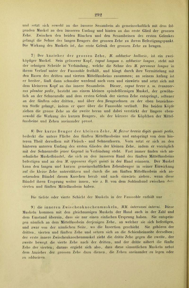 und setzt sich sowohl an das äussere Sesamhein als gemeinschaftlich mit dem fol- genden Muskel an den äusseren Umfang und hinten an das erste Glied der grossen Zehe. Zwischen den beiden Bäuchen und den Sesambeinen des ersten Gelenkes gelangt die Sehne des langen Beugers der grossen Zehe zu ihrem Befestigungspunkt, Die Wirkung des Muskels ist, das erste Gelenk der grossen Zehe zu beugen. 7) Der Anzieher der grossen Zehe, M. adductor hallucis, ist ein zwei- köpfiger Muskel. Sein grösserer Kopf, baput longum s. adductor longus, steht mit der sehnigen Scheide in Verbindung, welche die Sehne des M. peroneus longus in ihrem Verlauf unter der Fusssohle festhält, und hängt durch ihre Vermittelung mit den Basen des dritten und vierten Mittelfussbeins zusammen; an seinem Anfang ist er breiter, läuft dann schmaler werdend nach vorn und einwärts und setzt sich mit dem kleineren Kopf an das innere Sesambein. Dieser, caput breve s. m. transver- sus plantae pedis, besteht aus einem kleinen spindelförmigen Muskel, der gewöhn- lich an der Sehnenrolle und dem ersten Gelenk der vierten Zehe entspringt, seltener an der fünften oder dritten, und über den Beugesehnen zu der eben bezeichne- len Stelle gelangt, indem er quer über die Fusssohle verläuft. Die beiden Köpfe ziehen die grosse Zehe an die zweite heran und dabei verstärkt der längere eben- sowohl die Wirkung des kurzen Beugers, als der kürzere die Köpfchen der Millel- lüssbeine und Zehen aneinander presst, 8) Der kurze Beuger der kleinen Zehe, M. flexor brevis digiti quinti pedis, bedeckt die untere Fläche des fünften Mittelfussbeins und entspringt von dem hin- teren Theil derselben mit Fleisch - und Sehnenfasern. Vorn setzt er sich an den hinteren unteren Umfang des ersten Gliedes der kleinen Zehe, indem er vorzüglich mit der Sehnenrolle jener Gegend in Verbindung steht. Fast immer finden sich an- sehnliche Muskelbündel, die sich an den äusseren Band des fünften Mittelfussbeins befestigen und an den M. opponens digiti quinti in der Hand erinnern. Der Muskel kann den langen und kurzen gemeinschaftlichen Zehenbeuger in seiner Einwirkung auf die kleine Zehe unterstützen und durch die am fünften Mittelfussbein sich an- setzenden Bündel diesen Knochen herab und nach einwärts ziehen, wenn diese Bündel ihren Ursprung weiter innen, wie z. B. von dem Sohlenband zwischen vierten und fünften Mittelfussbein haben. Die tiefste oder vierte Schicht der Muskeln in der Fusssohle enthält nur 9) die inneren Zwischenknochenmu.skein, MM. interossei interni. Diese Muskeln kommen mit den gleichnamigen Muskeln der Hand auch in der Zahl und dem Umstand überein, dass sie nur einen einfachen Ursprung haben. Sie entsprin- gen nämlich an dem Mittelfussbein derjenigen Zehe, an welcher sie sich befestigen, und zwar von der nämlichen Seite, wo die Insertion geschieht Sie gehören der dritten, vierten und fünften Zehe und setzen sich an die Schienbeinseite derselben; der erste innere Zwischenknochenmuskel zieht die dritte Zehe gegen die zweite, der zweite bewegt die vierte Zehe nach der dritten, und der dritte nähert die fünfte Zehe der vierten; daraus ergiebl sich also, dass diese sämmllichen Muskeln nebst dem Anzieher der grossen Zehe dazu dienen, die Zehen aneinander zu legen oder zu adduciren.