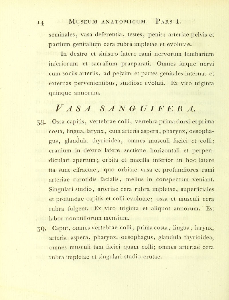 seminales, vasa deferentia, testes, penis; arteriae pelvis et partium genitalium cera rubra impletae et evolutae. In dextro et sinistro latere rami nervorum lumbarium inferiorum et sacralium praeparati. Omnes itaque nervi cum sociis arteriis, ad pelvim et partes genitales internas et externas pervenientibus, studiose evoluti. Ex viro triginta quinque annorum. Vasa sanguifer a. 53. Ossa capitis, vertebrae colli, vertebra prima dorsi et prima costa, lingua, larynx, cum arteria aspera, pharynx, oesopha- gus, glandula thyrioidea, omnes musculi faciei et colli; cranium in dextro latere sectione horizontali et perpen- diculari apertum ; orbita et maxilla inferior in hoc latere ita sunt effractae, quo orbitae vasa et profundiores rami arteriae carotidis facialis, melius in conspectum veniant. Singulari studio, arteriae cera rubra impletae, superficiales et profundae capitis et colli evolutae; ossa et musculi cera rubra fulgent. Ex viro triginta et aliquot annorum. Est labor nonnullorum mensium. 59. Caput, omnes vertebrae colli, prima costa, lingua, larynx, arteria aspera, pharynx, oesophagus, glandula thyrioidea, omnes musculi tam faciei quam colli; omnes arteriae cera rubra impletae et singulari studio erutae.