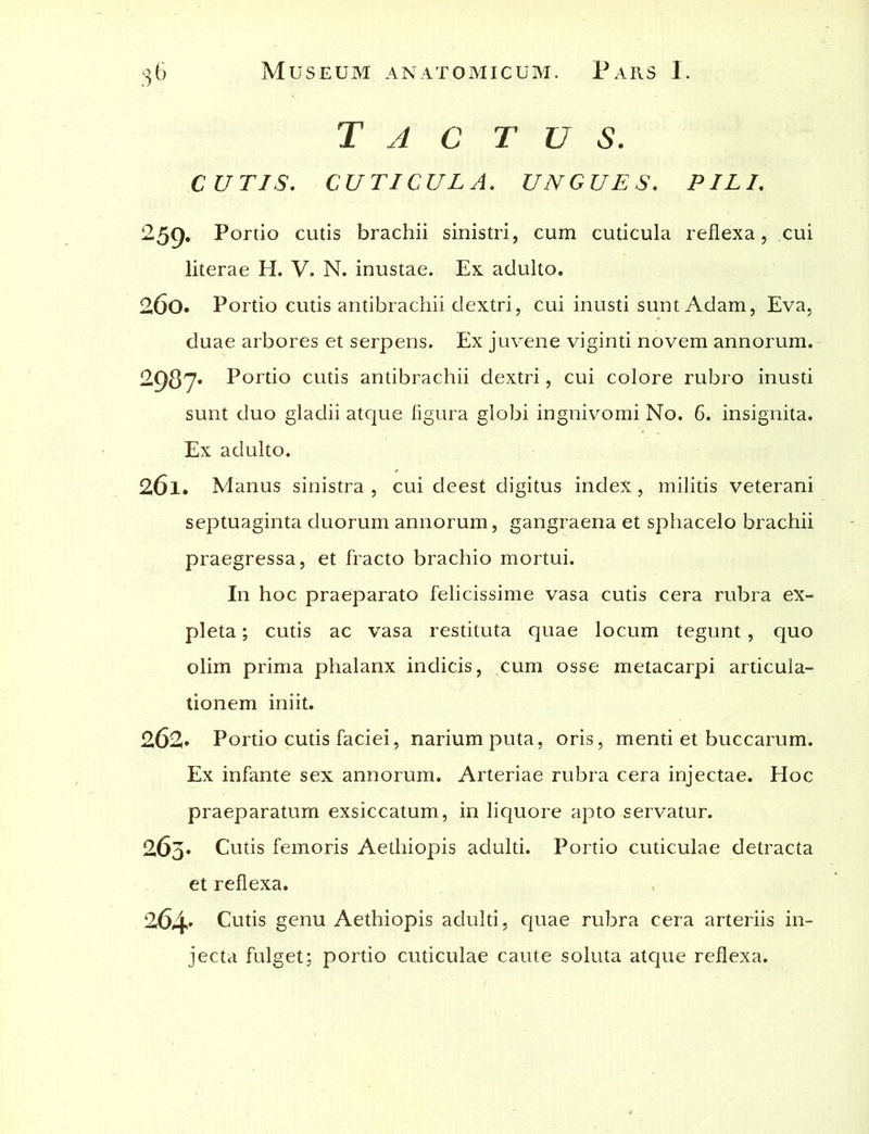 Tactus. CUTIS. CUTICULA. UNGUES. PILI. £59. Portio cutis brachii sinistri, cum cuticula reflexa, cui literae H. V. N. inustae. Ex adulto. 260. Portio cutis antibrachii dextri, cui inusti suntAdam, Eva, duae arbores et serpens. Ex juvene viginti novem annorum. 2987- Portio cutis antibrachii dextri, cui colore rubro inusti sunt duo gladii atque figura globi ingnivomi No. 6. insignita. Ex adulto. 261. Manus sinistra, cui deest digitus index, militis veterani septuaginta duorum annorum, gangraena et sphacelo brachii praegressa, et fracto brachio mortui. In hoc praeparato felicissime vasa cutis cera rubra ex- pleta ; cutis ac vasa restituta quae locum tegunt, quo olim prima phalanx indicis, cum osse metacarpi articula- tionem iniit. 262» Portio cutis faciei, narium puta, oris, menti et buccarum. Ex infante sex annorum. Arteriae rubra cera injectae. Hoc praeparatum exsiccatum, in liquore apto servatur. 263» Cutis femoris Aethiopis adulti. Portio cuticulae detracta et reflexa. 264. Cutis genu Aethiopis adulti, quae rubra cera arteriis in- jecta fulget; portio cuticulae caute soluta atque reflexa.