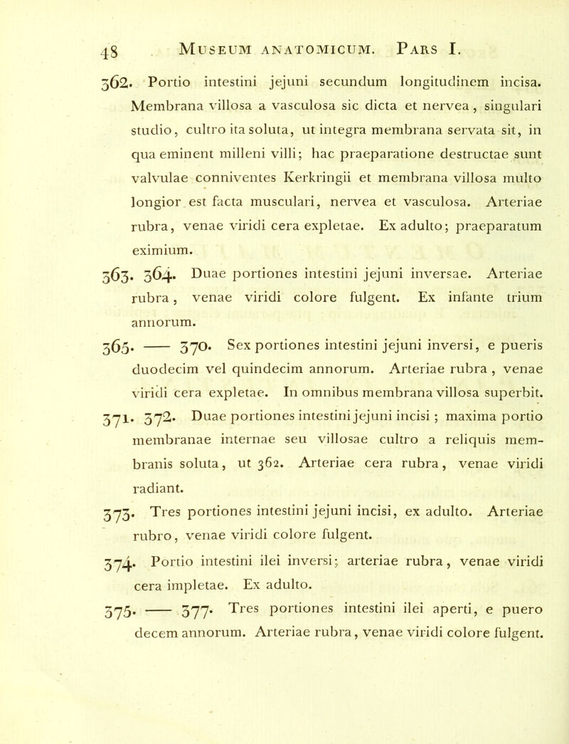 362« Portio intestini jejuni secundum longitudinem incisa. Membrana villosa a vasculosa sic dicta et nervea, singulari studio, cultro ita soluta, ut integra membrana servata sit, in qua eminent milleni villi; hac praeparatione destructae sunt valvulae conniventes Kerkringii et membrana villosa multo longior est facta musculari, nervea et vasculosa. Arteriae rubra, venae viridi cera expletae. Ex adulto; praeparatum eximium. 363. 364. Duae portiones intestini jejuni inversae. Arteriae rubra, venae viridi colore fulgent. Ex infante trium annorum. 365* 37D* Sex portiones intestini jejuni inversi, e pueris duodecim vel quindecim annorum. Arteriae rubra , venae viridi cera expletae. In omnibus membrana villosa superbit. 371. 372. Duae portiones intestini jejuni incisi; maxima portio membranae internae seu villosae cultro a reliquis mem- branis soluta, ut 362. Arteriae cera rubra, venae viridi radiant. 373. Tres portiones intestini jejuni incisi, ex adulto. Arteriae rubro, venae viridi colore fulgent. 374. Portio intestini ilei inversi; arteriae rubra, venae viridi cera impletae. Ex adulto. 375. 377* Tfes portiones intestini ilei aperti, e puero decem annorum. Arteriae rubra, venae viridi colore fulgent.