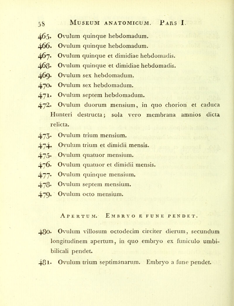 465» Ovulum quinque hebdomadum. 466. Ovulum quinque hebdomadum. 467. Ovulum quinque et dimidiae hebdomadis. 468» Ovulum quinque et dimidiae hebdomadis. 469* Ovulum sex hebdomadum. 470. Ovulum sex hebdomadum. 471* Ovulum septem hebdomadum. 472. Ovulum duorum mensium, in quo chorion et caduca Hunteri destructa; sola vero membrana amnios dicta relicta. 473» Ovulum trium mensium. 474- Ovulum trium et dimidii mensis. 475« Ovulum quatuor mensium. 476. Ovulum quatuor et dimidii mensis. 477« Ovulum quinque mensium. 478* Ovulum septem mensium. 479. Ovulum octo mensium. Apertum. Embryo e fune pendet. 480. Ovulum villosum octodecim circiter dierum, secundum longitudinem apertum, in quo embryo ex funiculo umbi- bilicali pendet. 481* Ovulum trium septimanarum. Embryo a fune pendet.