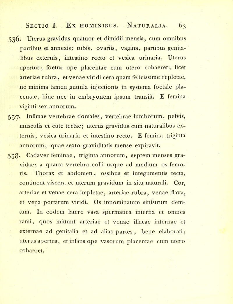 536. Uterus gravidus quatuor et dimidii mensis, cum omnibus partibus ei annexis: tubis, ovariis, vagina, partibus genita- libus externis, intestino recto et vesica urinaria. Uterus apertus; foetus ope placentae cum utero cohaeret; licet arteriae rubra, et venae viridi cera quam felicissime repletae, ne minima tamen guttula injectionis in systema foetale pla- centae, hinc nec in embryonem ipsum transiit. E femina viginti sex annorum. 537. Infimae vertebrae dorsales, vertebrae lumborum, pelvis, musculis et cute tectae; uterus gravidus cum naturalibus ex- ternis , vesica urinaria et intestino recto. E femina triginta annorum, quae sexto graviditatis mense expiravit. 538* Cadaver feminae, triginta annorum, septem menses gra- vidae; a quarta vertebra colli usque ad medium os femo- ris. Thorax et abdomen, ossibus et integumentis tecta, continent viscera et uterum gravidum in situ naturali. Cor, arteriae et venae cera impletae, arteriae rubra, venae flava, et vena portarum viridi. Os innominatum sinistrum dem- tum. In eodem latere vasa spermatica interna et omnes rami, quos mittunt arteriae et venae iliacae internae et externae ad genitalia et ad alias partes , bene elaborati; uterus apertus, et infans ope vasorum placentae cum utero cohaeret.