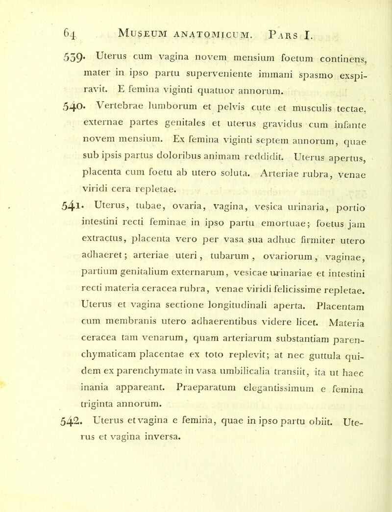 5o9* Uterus cum vagina novem mensium foetum continens, mater in ipso partu superveniente immani spasmo exspi- ravit. E femina viginti quatuor annorum. 540. Vertebrae lumborum et pelvis cute et musculis tectae, externae partes genitales et uterus gravidus cum infante novem mensium. Ex femina viginti septem annorum, quae sub ipsis partus doloribus animam reddidit. Uterus apertus, placenta cum foetu ab utero soluta. Arteriae rubra, venae viridi cera repletae. 54l* Uterus, tubae, ovaria, vagina, ve?ica urinaria, portio intestini recti feminae in ipso partu emortuae; foetus jam extractus, placenta vero per vasa sua adhuc firmiter utero adhaeret; arteriae uteri, tubarum, ovariorum, vaginae, partium genitalium externarum, vesicae urinariae et intestini recti materia ceracea rubra, venae viridi felicissime repletae. Uterus et vagina sectione longitudinali aperta. Placentam cum membranis utero adhaerentibus videre licet. Materia ceracea tam venarum, quam arteriarum substantiam paren- chymaticam placentae ex toto replevit; at nec guttula qui- dem ex parenchymate invasa umbilicalia transiit, ita ut haec inania appareant. Praeparatum elegantissimum e femina triginta annorum. 542. Uterus et vagina e femina, quae in ipso partu obiit. Ute- rus et vagina inversa.