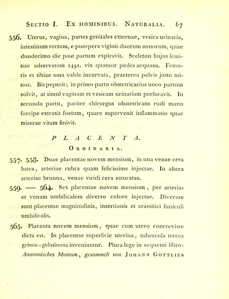 556. Uterus, vagina, partes genitales externae, vesica urinaria, intestinum rectum, e puerpera viginti duorum annorum, quae duodecimo die post partum expiravit. Sceletdn hujus femi- nae adservatum 2491. vix quatuor pedes aequans. Femo- ris et tibiae ossa valde incurvata, praeterea pelvis justo mi- nor. Bispeperit; in primo partu obstetricarius unco partum solvit, at simul vaginam et vesicam urinariam perforavit. In secundo partu, pariter chirurgus obstetricans rudi manu forcipe extraxit foetum, quare supervenit inflammatio quae miserae vitam finivit. P L A C E N T A. Ordinaria. 557. 553- Duae placentae novem mensium, in una venae cera lutea, arteriae rubra quam felicissime injectae. In altera arteriae brunna, venae viridi cera saturatae. 559- — 564. Sex placentae novem mensium , per arterias et venam umbilicalem diverso colore injectae. Diversae sunt placentae magnitudinis, insertionis et crassitiei funiculi umbilicalis. 565. Placenta novem mensium , quae cum utero concrevisse dicta est. In placentae superficie uterina, tubercula terrea griseo-gelatinosa inveniuntur. Plura lege in sequenti libro: Anatomisches Museum, gescimmelt von Johann Gottlieb