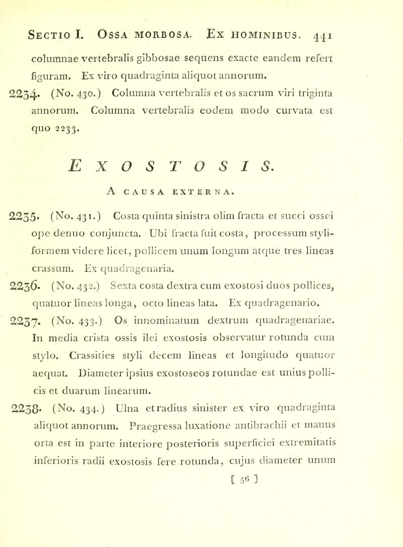 columnae vertebralis gibbosae sequens exacte eandem refert figuram. Ex viro quadraginta aliquot annorum. 2234» (No. 430.) Columna vertebralis et os sacrum viri triginta annorum. Columna vertebralis eodem modo curvata est quo 2233. Exostosis. A CAUSA EXTERNA. 2235. (No. 431.) Costa quinta sinistra olim fracta et succi ossei ope denuo conjuncta. Ubi fracta fuit costa, processum styli- formem videre licet, pollicem unum longum atque tres lineas crassum. Ex quadragenaria. 2236» (No. 432.) Sexta costa dextra cum exostosi duos pollices, quatuor lineas longa, octo lineas lata. Ex quadragenario. 2237. (No. 433.) Os innominatum dextrum quadragenariae. In media crista ossis ilei exostosis observatur rotunda cum stylo. Crassities styli decem lineas et longitudo quatuor aequat. Diameter ipsius exostoseos rotundae est unius polli- cis et duarum linearum. 2238* (No. 434.) Ulna et radius sinister ex viro quadraginta aliquot annorum. Praegressa luxatione antibrachii et manus orta est in parte interiore posterioris superficiei extremitatis inferioris radii exostosis fere rotunda, cujus diameter unum [ 56 ]