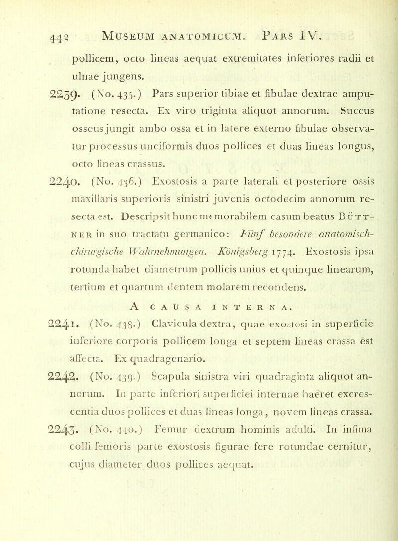 pollicem, octo lineas aequat extremitates inferiores radii et ulnae jungens. 2259* (No. 435.) Pars superior tibiae et fibulae dextrae ampu- tatione resecta. Ex viro triginta aliquot annorum. Succus osseus jungit ambo ossa et in latere externo fibulae observa- tur processus unciformis duos pollices et duas lineas longus, octo lineas crassus. 2240. (No. 436.) Exostosis a parte laterali et posteriore ossis maxillaris superioris sinistri juvenis octodecim annorum re- secta est. Descripsit hunc memorabilem casum beatus B ii t t- ner in suo tractatu germanico: Fimf besondere anatomisch- chirurgische Wahrnehmungen. Konigsberg 1774. Exostosis ipsa rotunda habet diametrum pollicis unius et quinque linearum, tertium et quartum dentem molarem recondens. A causa interna. 224l» (No. 438-) Clavicula dextra, quae exostosi in superficie inferiore corporis pollicem longa et septem lineas crassa est affecta. Ex quadragenario. 2242. (No. 439-) Scapula sinistra viri quadraginta aliquot an- norum. In parte inferiori supeificiei internae haeret excres- centia duos pollices et duas lineas longa, novem lineas crassa. 2243» (No. 440.) Femur dextrum hominis adulti. In infima colli femoris parte exostosis figurae fere rotundae cernitur, cujus diameter duos pollices aequat.